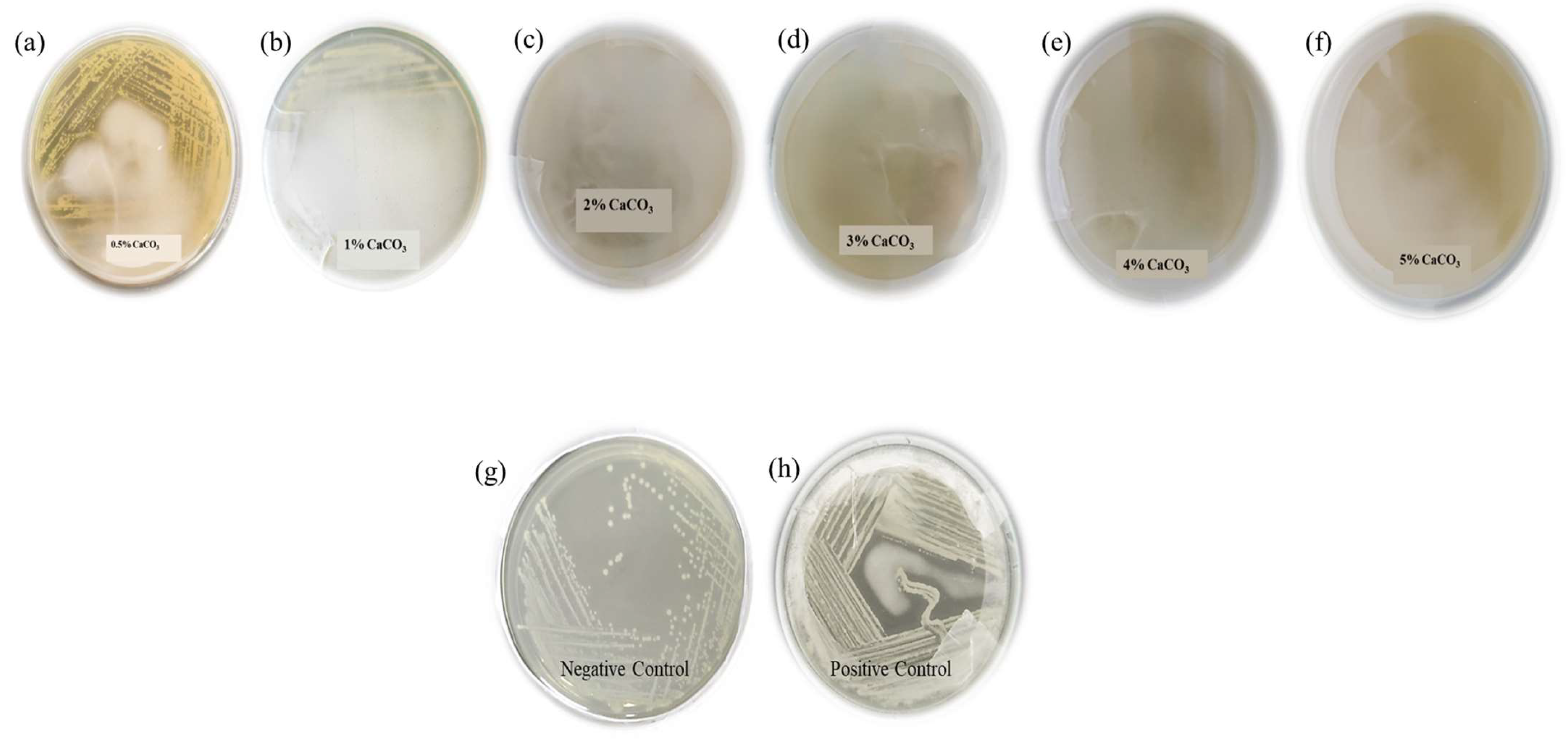 Microorganisms 11 01931 g002