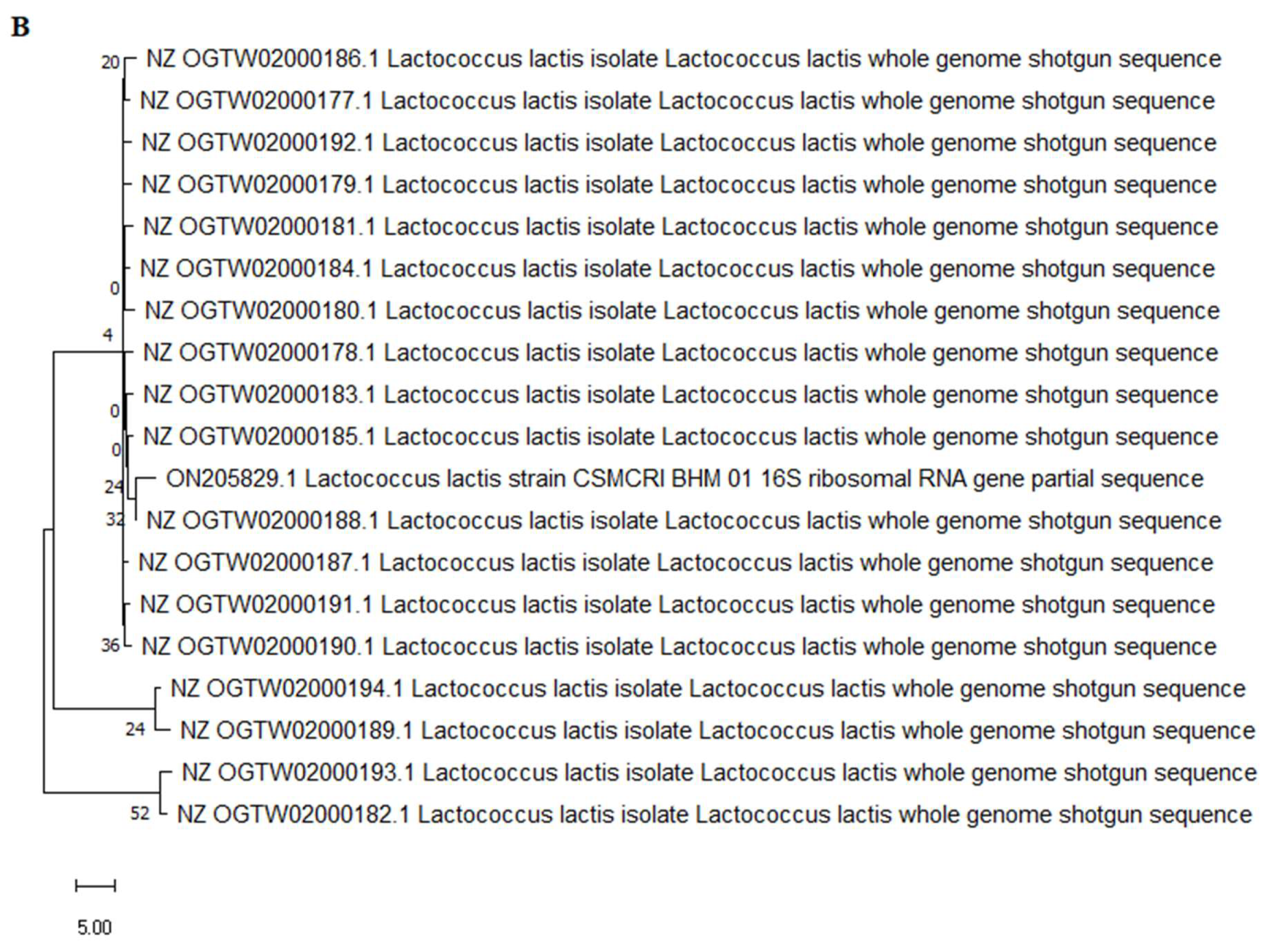 Microorganisms 11 01931 g003b