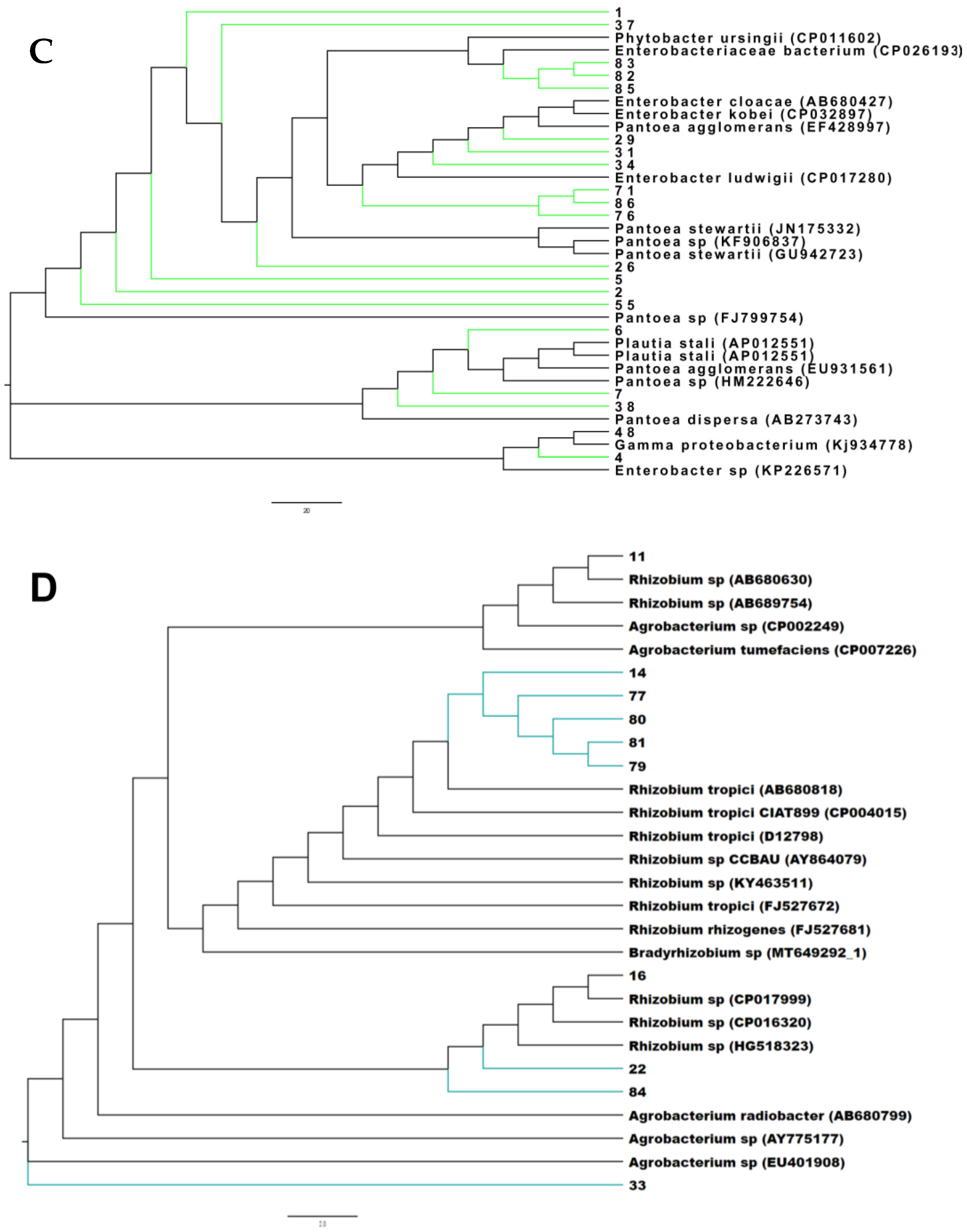 Microorganisms 11 01941 g001b Microorganisms 11 01941 g001b