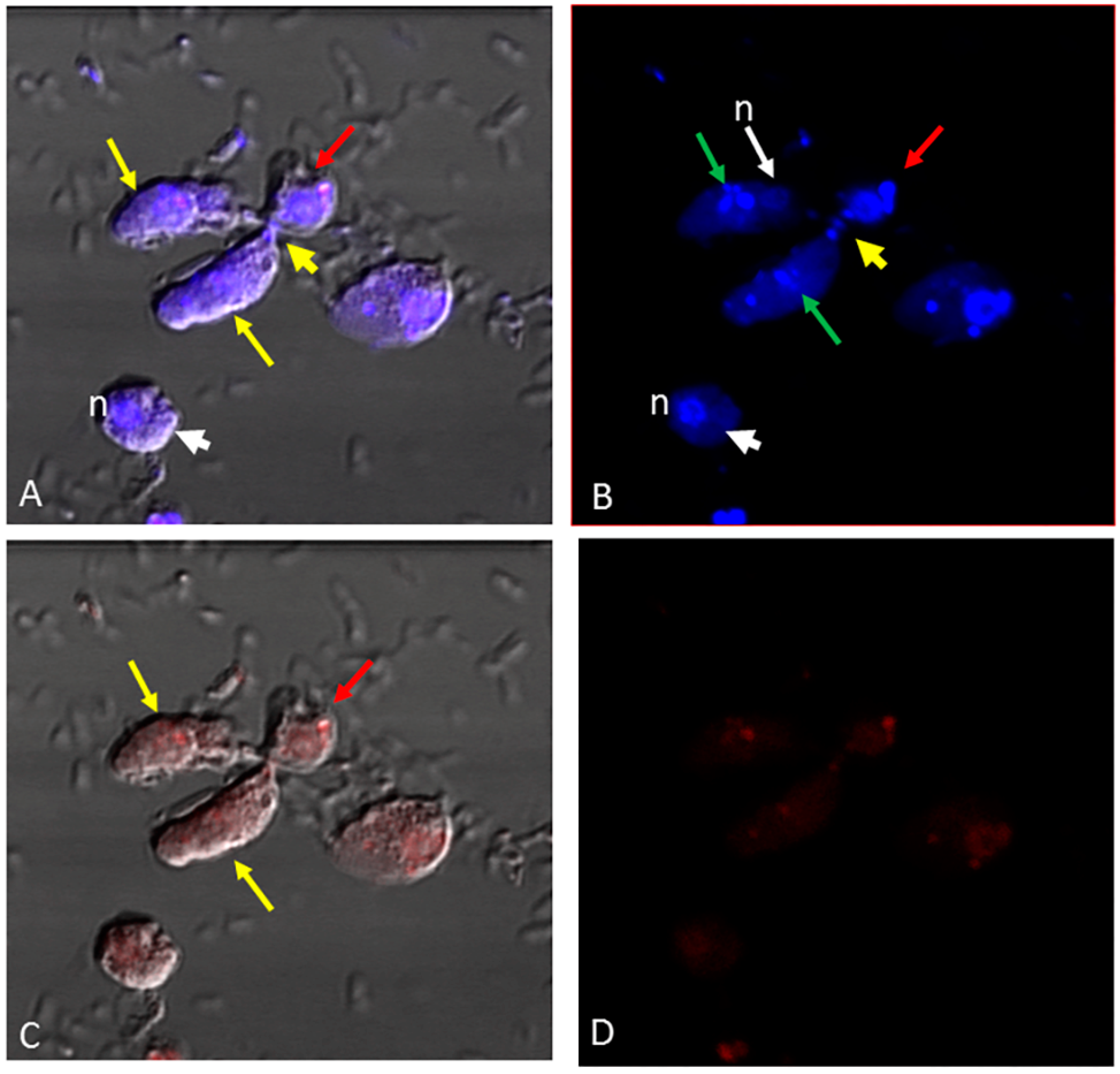 Microorganisms 11 01945 g004 Microorganisms 11 01945 g004