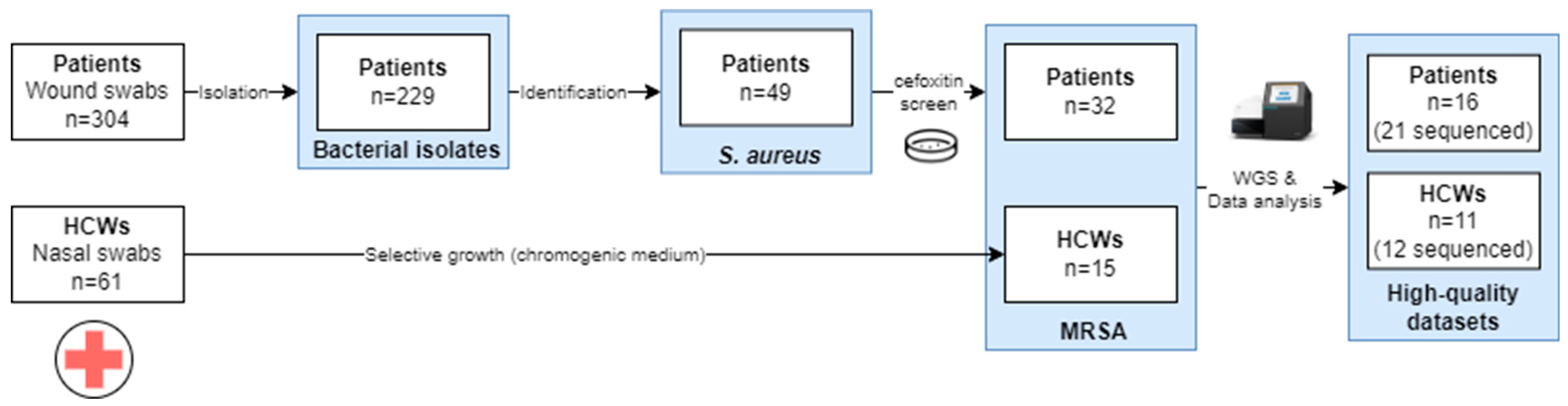 Microorganisms 11 01954 g001 Microorganisms 11 01954 g001