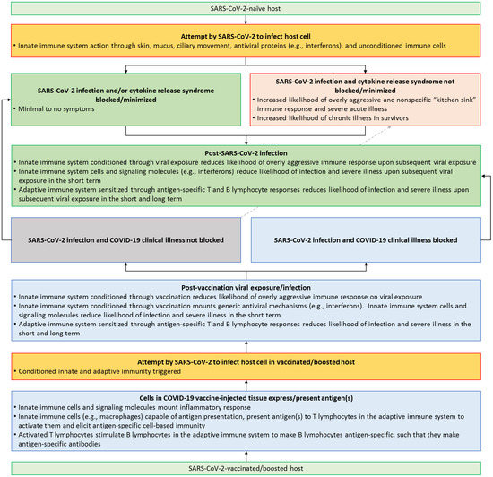 Microorganisms 11 01963 g002