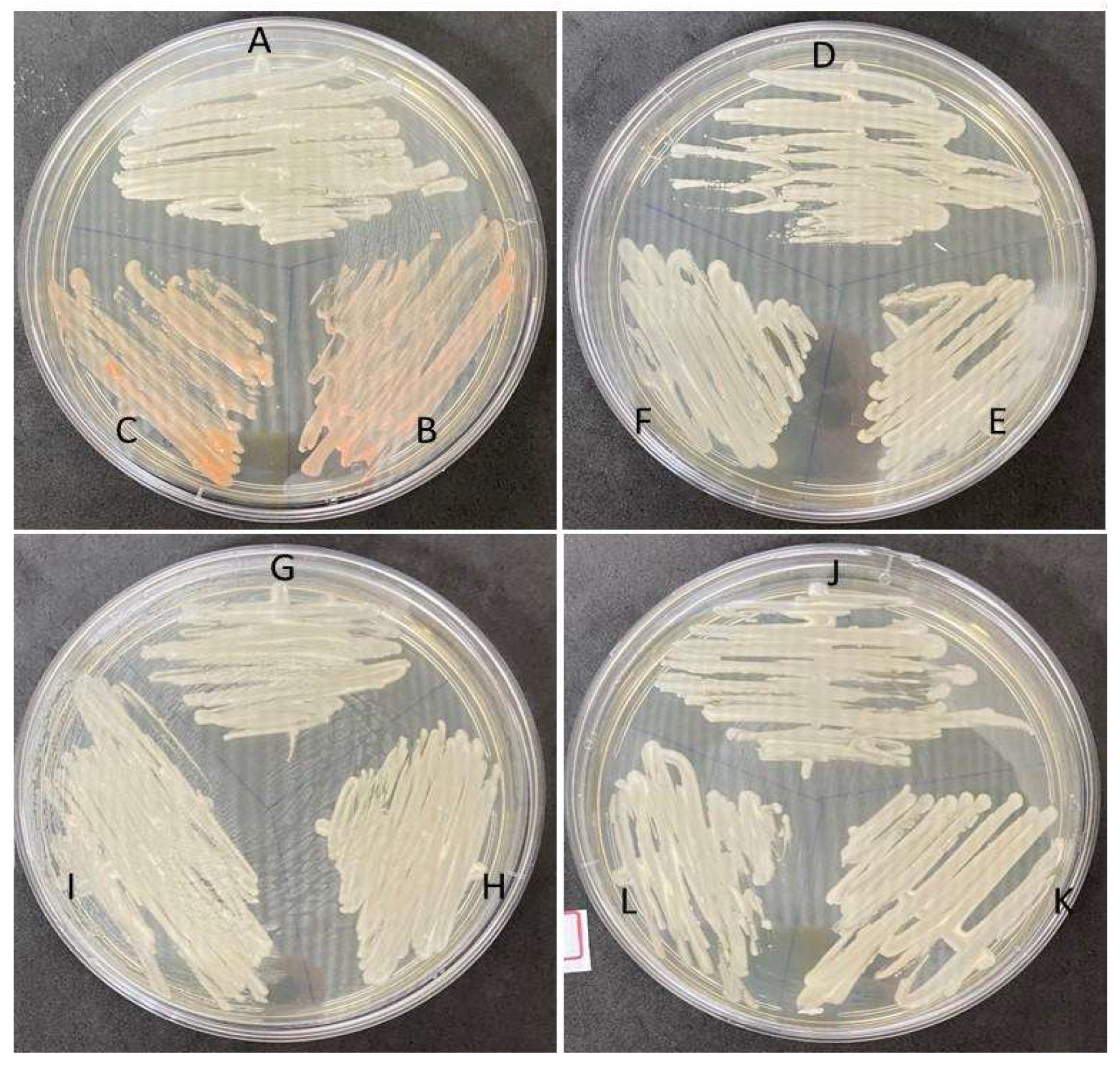 Microorganisms 11 01969 g001