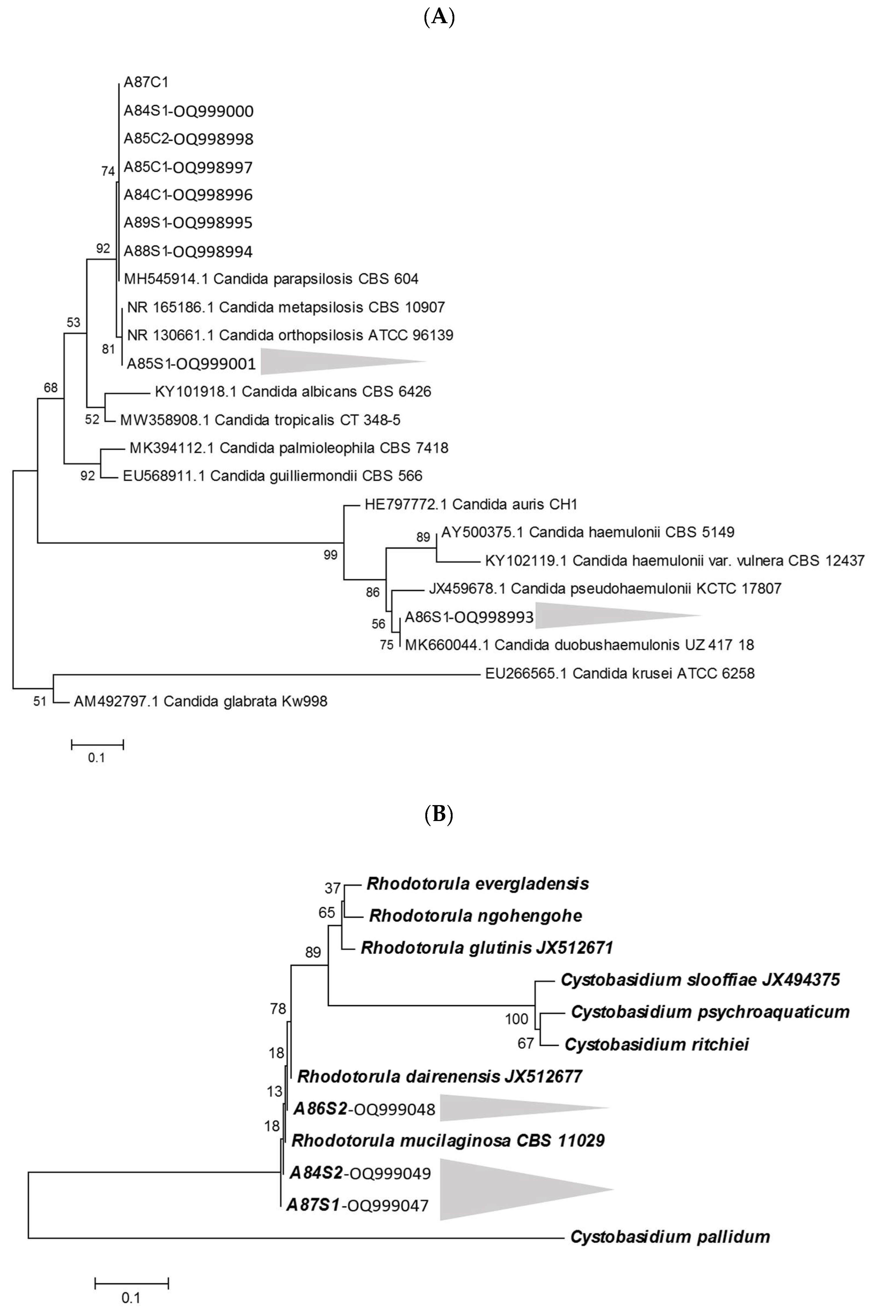 Microorganisms 11 01969 g003