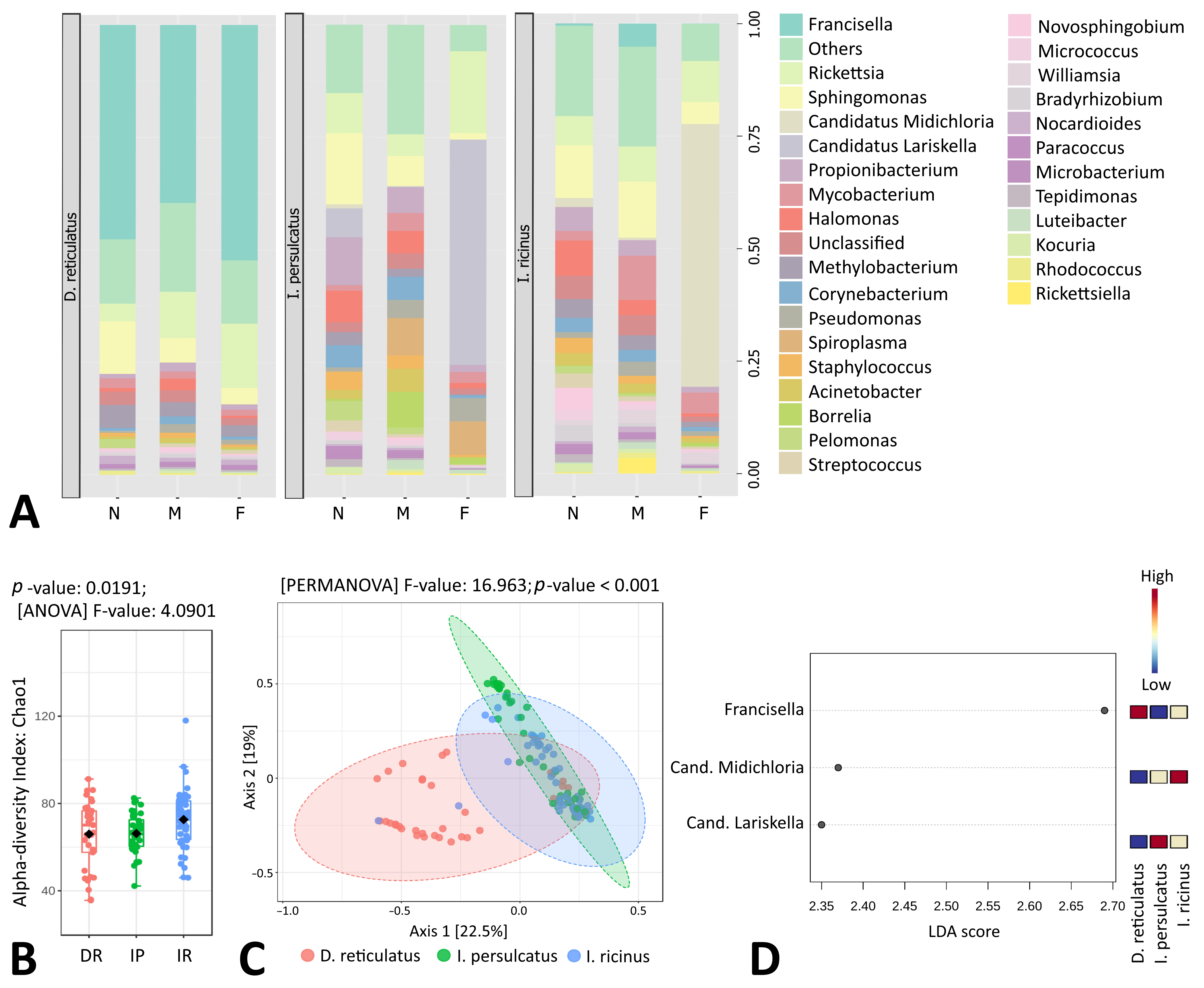 Microorganisms 11 01970 g001