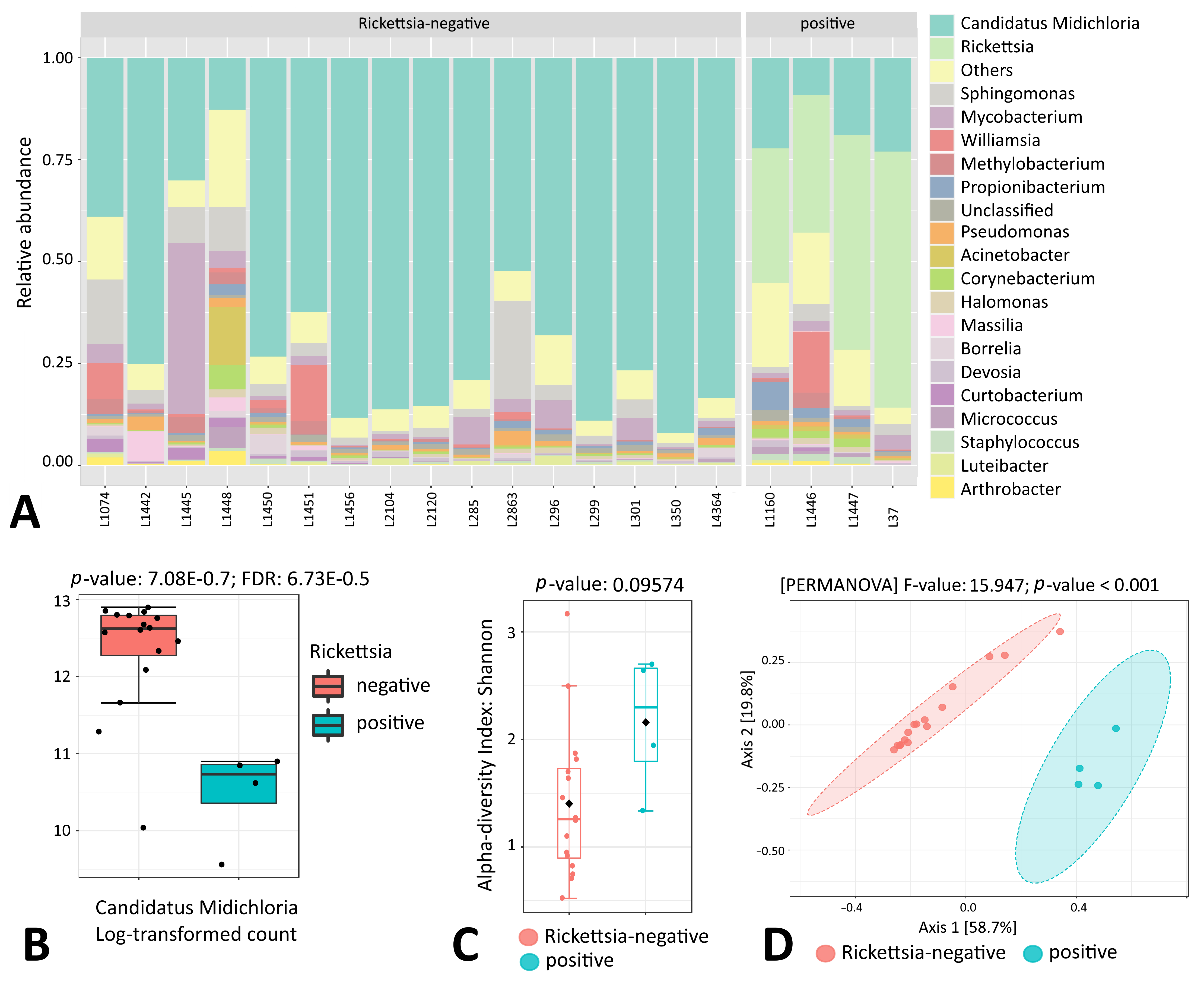 Microorganisms 11 01970 g007