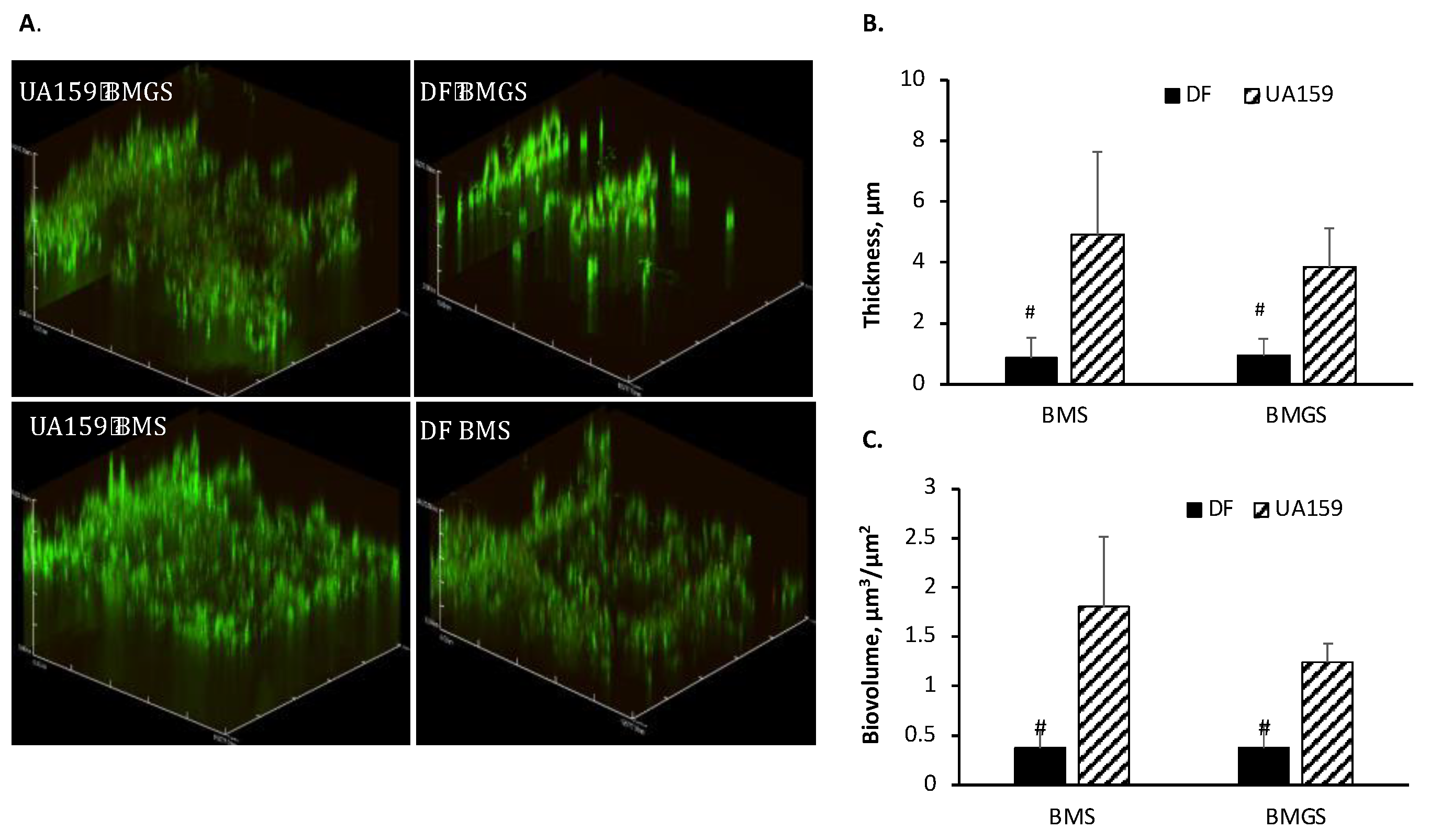 Microorganisms 11 01982 g004