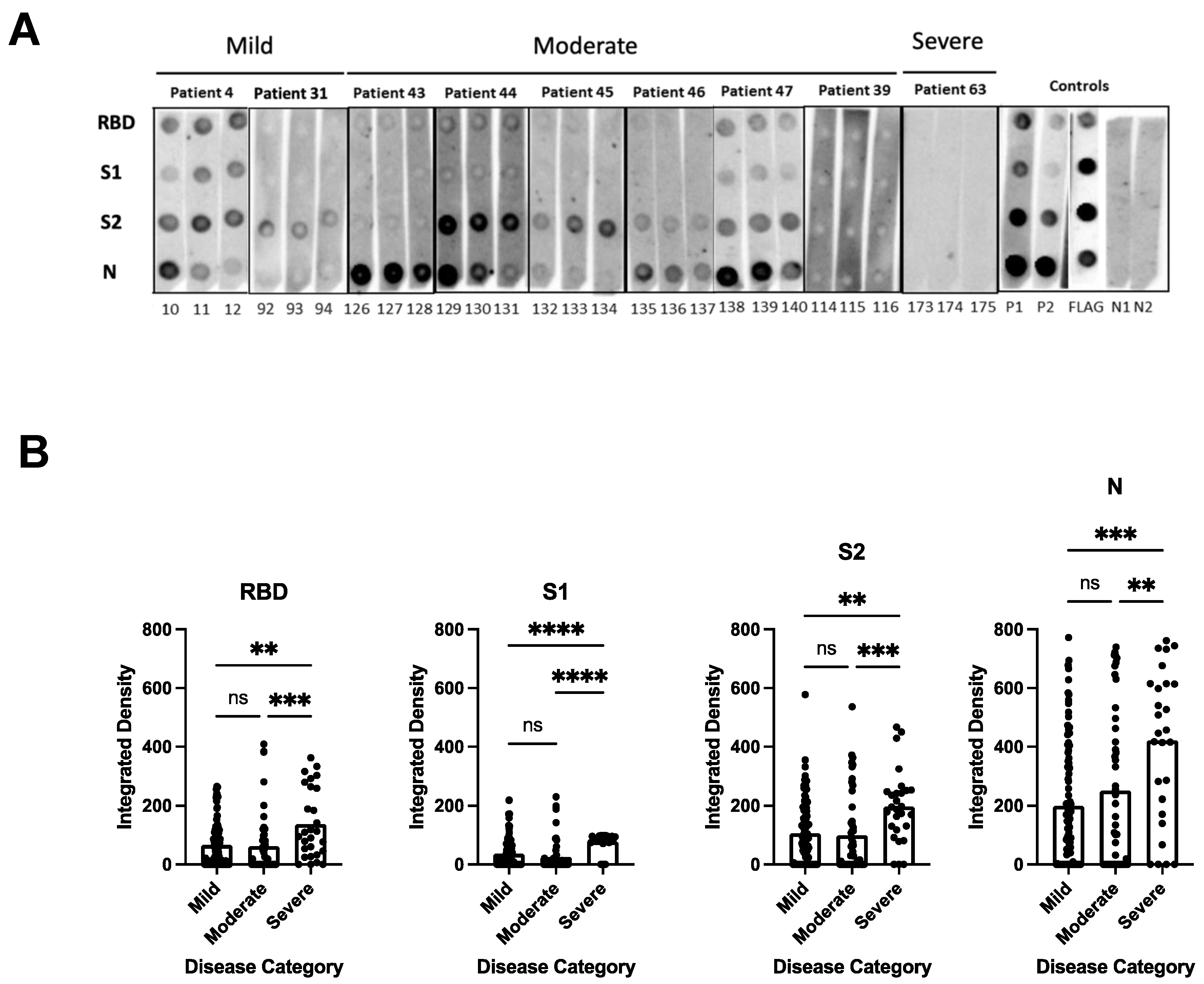 Microorganisms 11 01985 g001