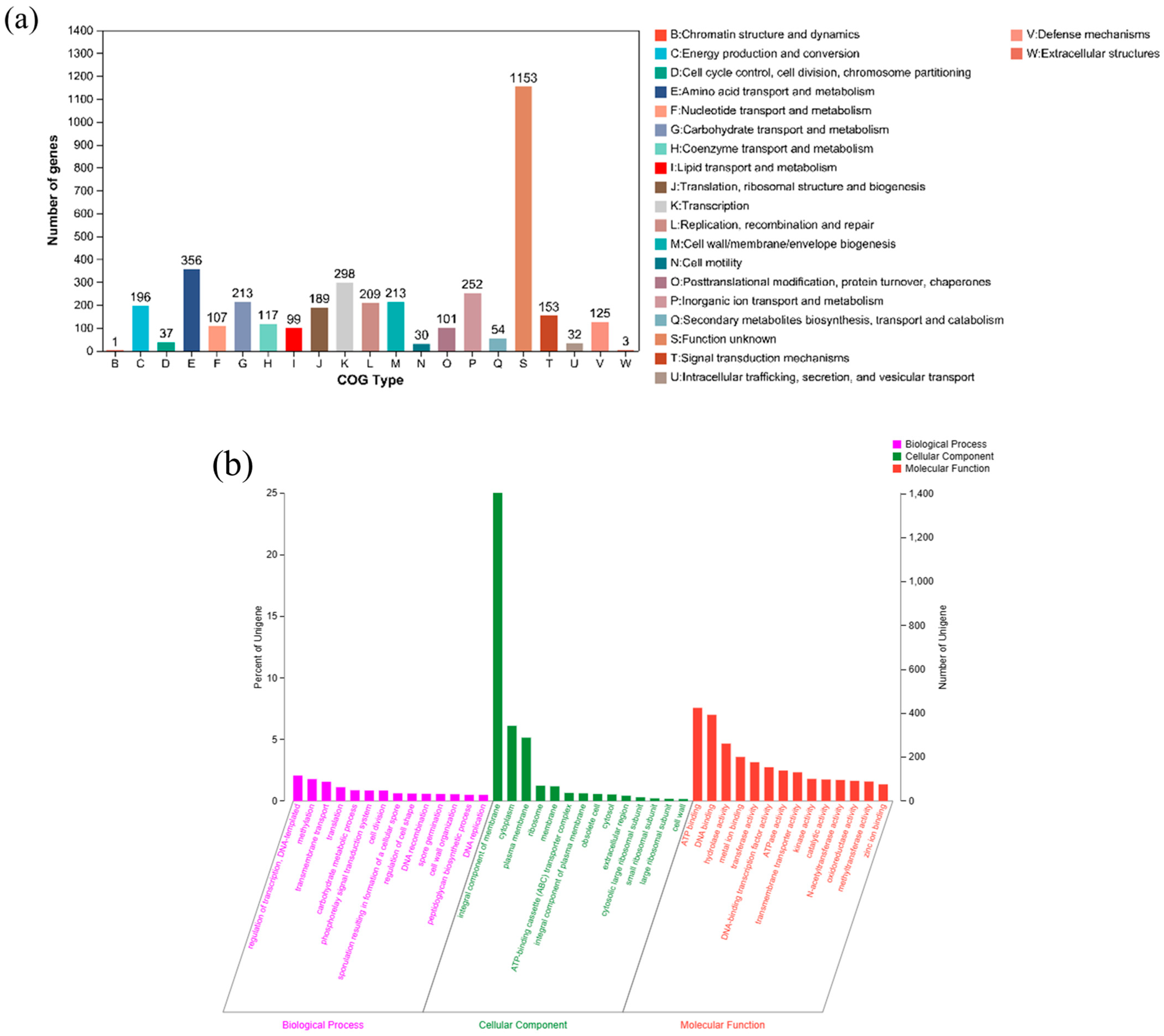 Microorganisms 11 01989 g005a Microorganisms 11 01989 g005a