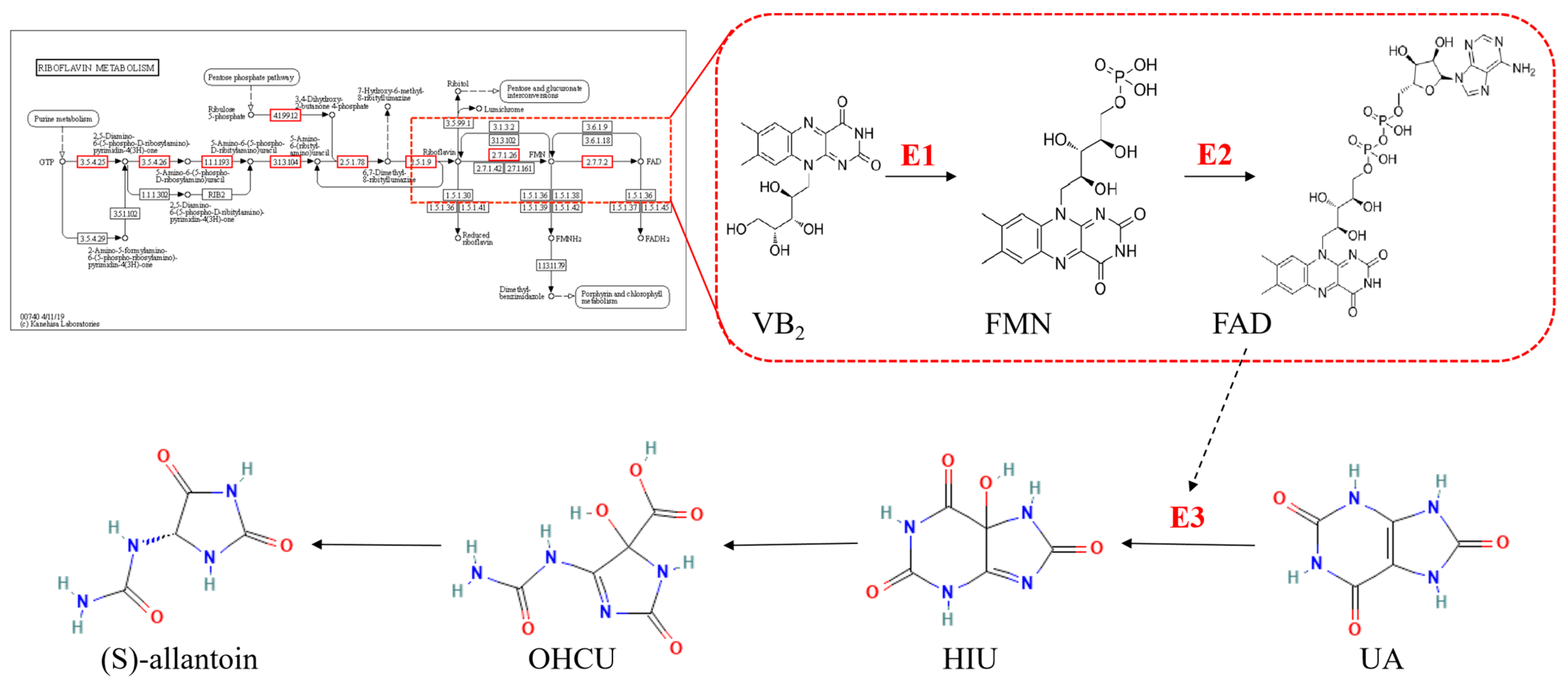 Microorganisms 11 01989 g006 Microorganisms 11 01989 g006