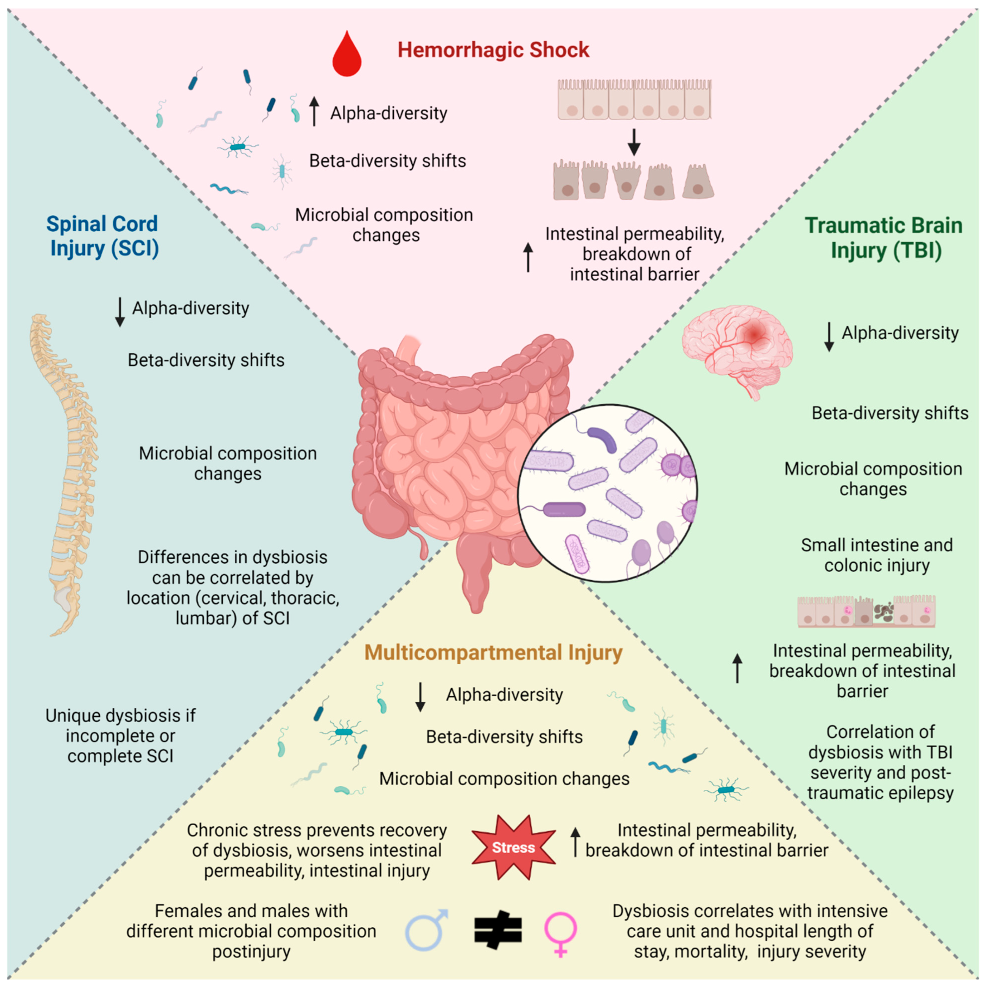 Microorganisms 11 01990 g001 Microorganisms 11 01990 g001