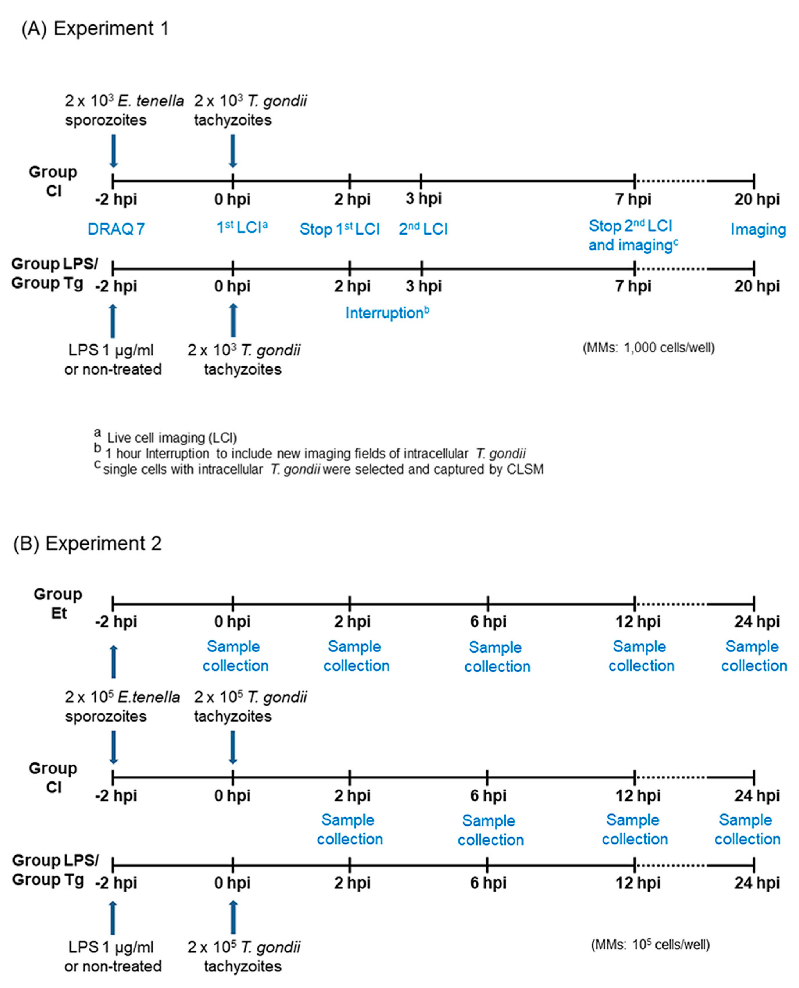 Microorganisms 11 01999 g001 Microorganisms 11 01999 g001