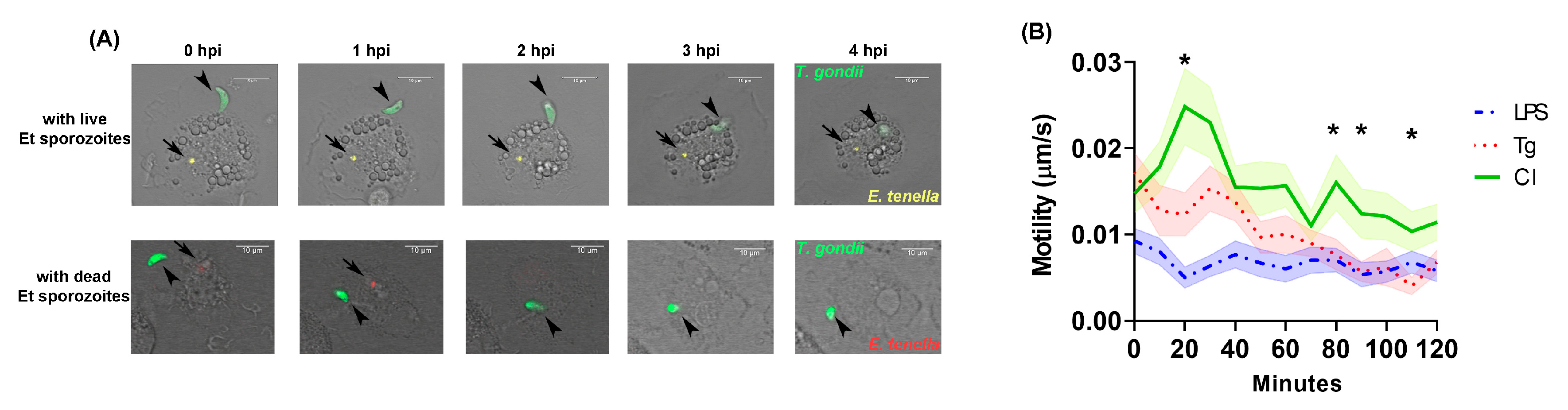 Microorganisms 11 01999 g002 Microorganisms 11 01999 g002