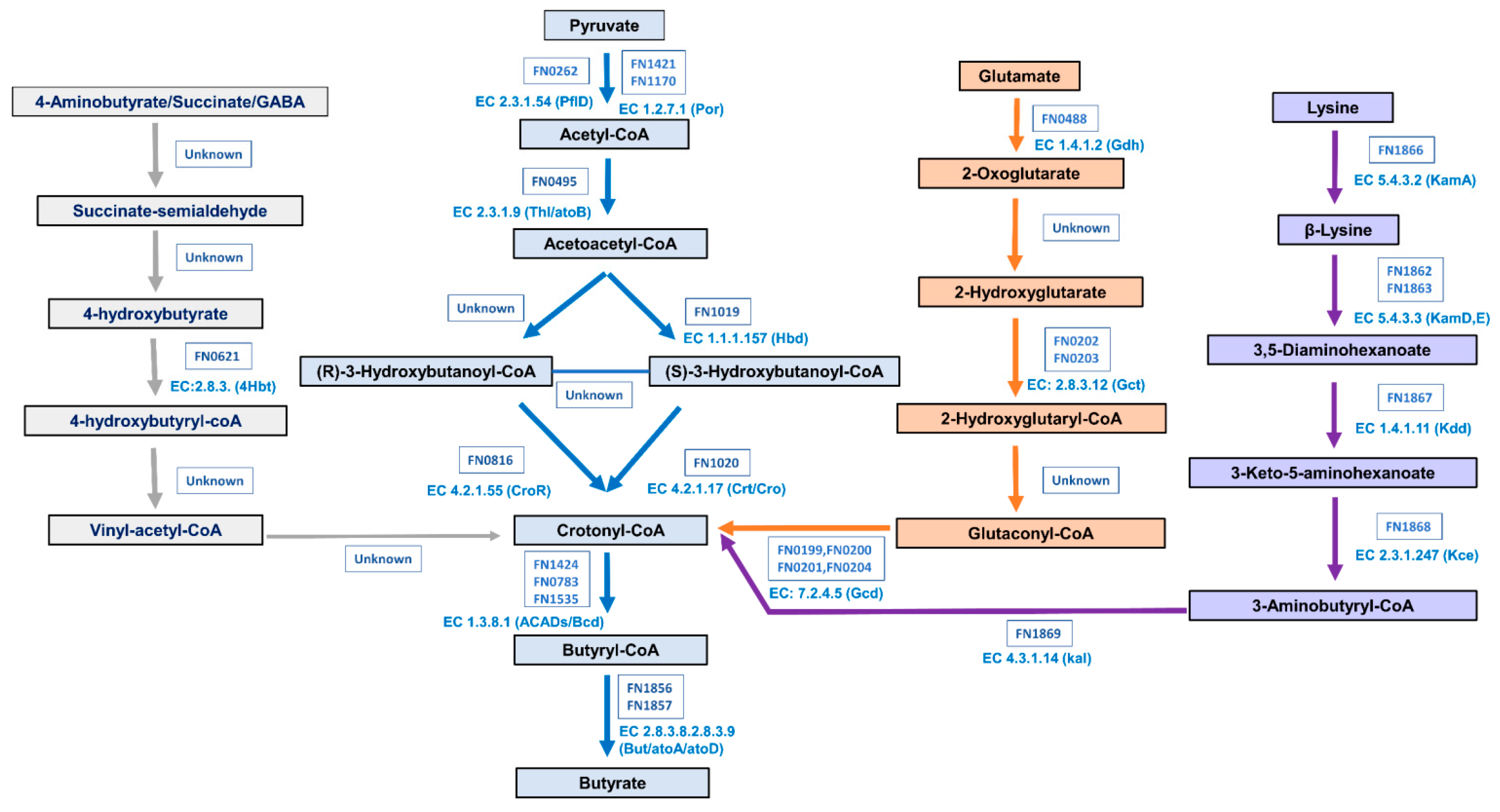 Microorganisms 11 02004 g006