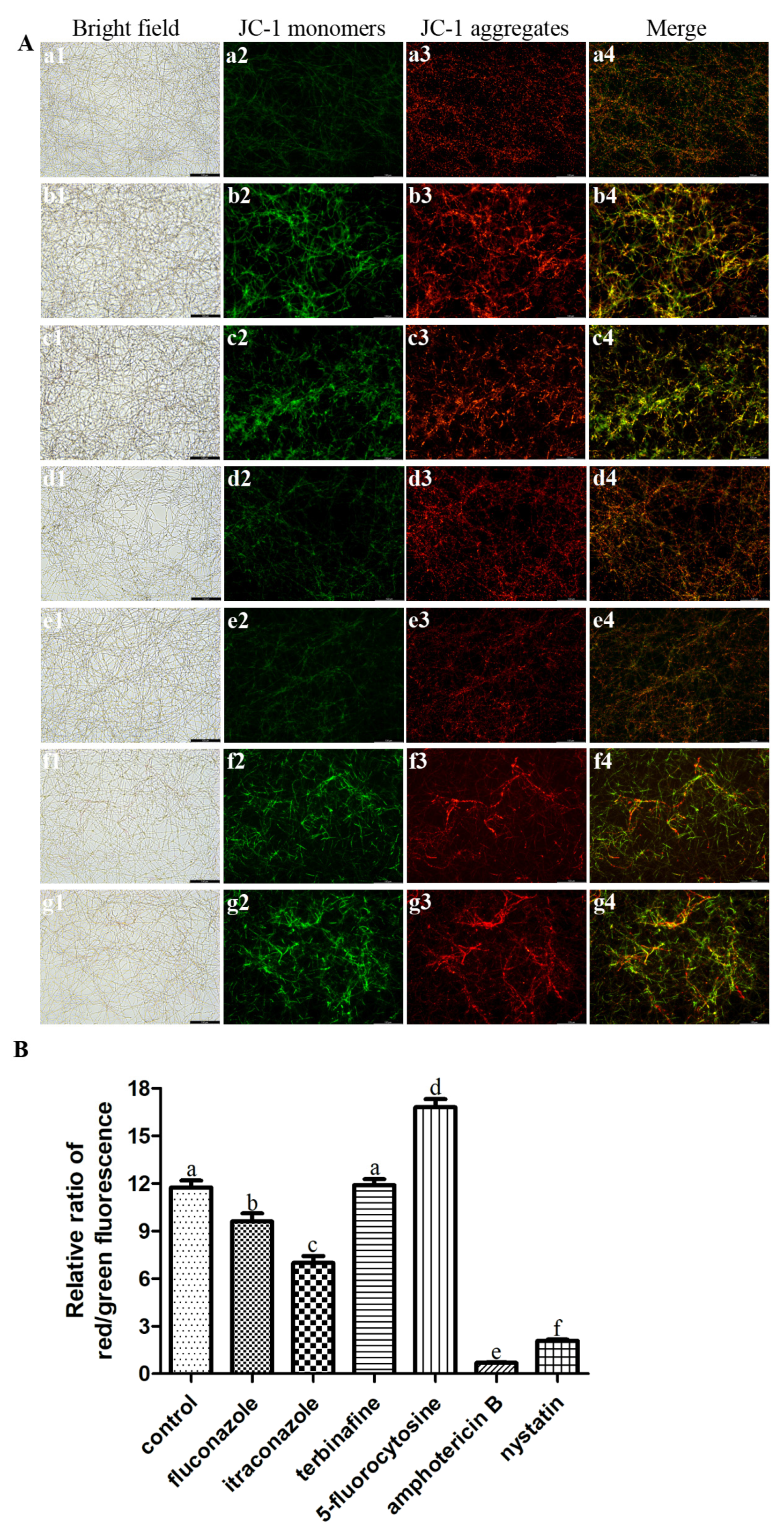 Microorganisms 11 02015 g005