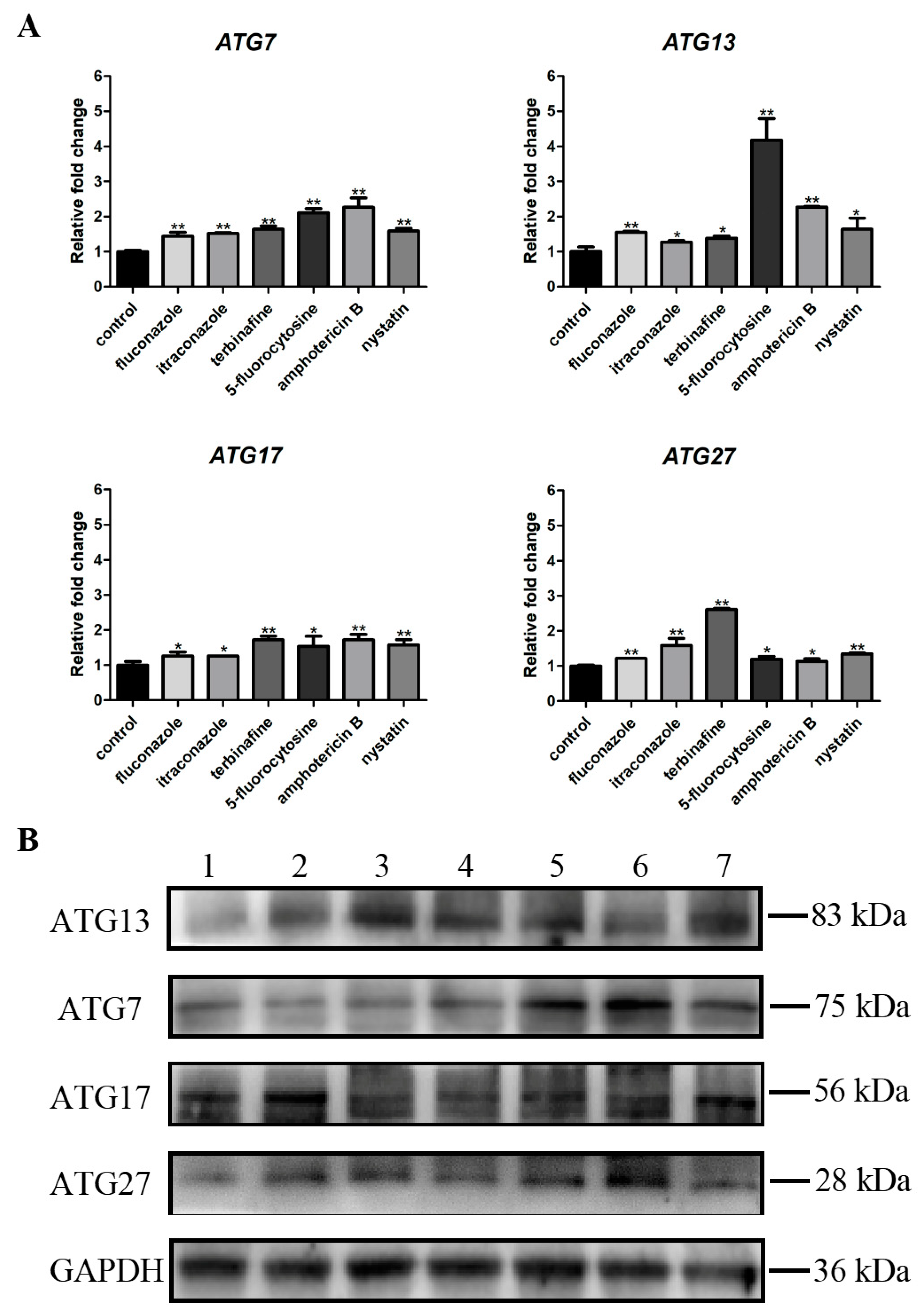 Microorganisms 11 02015 g006