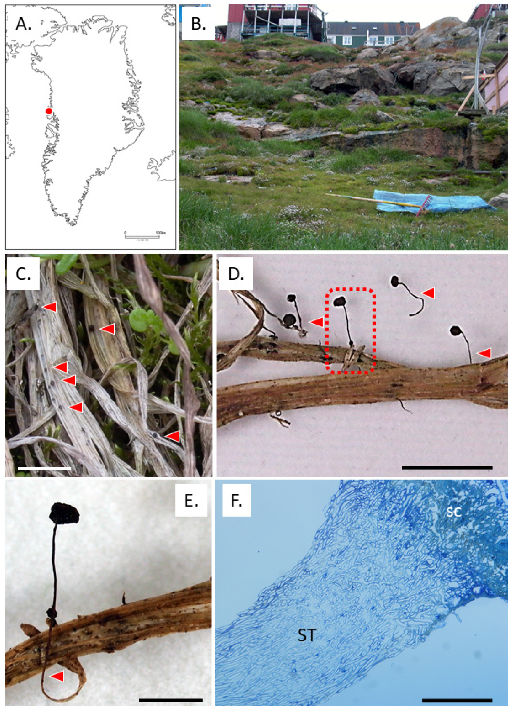 Microorganisms 11 02028 g001 Microorganisms 11 02028 g001