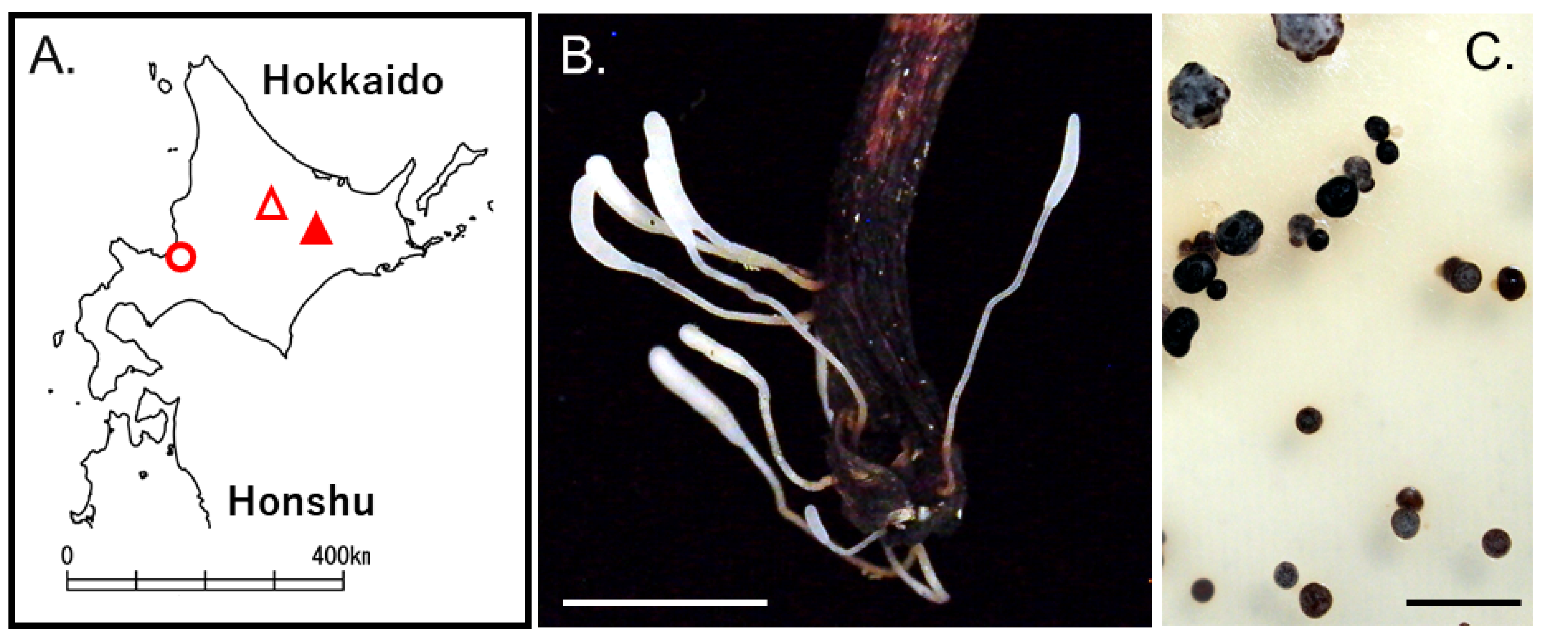 Microorganisms 11 02028 g003 Microorganisms 11 02028 g003