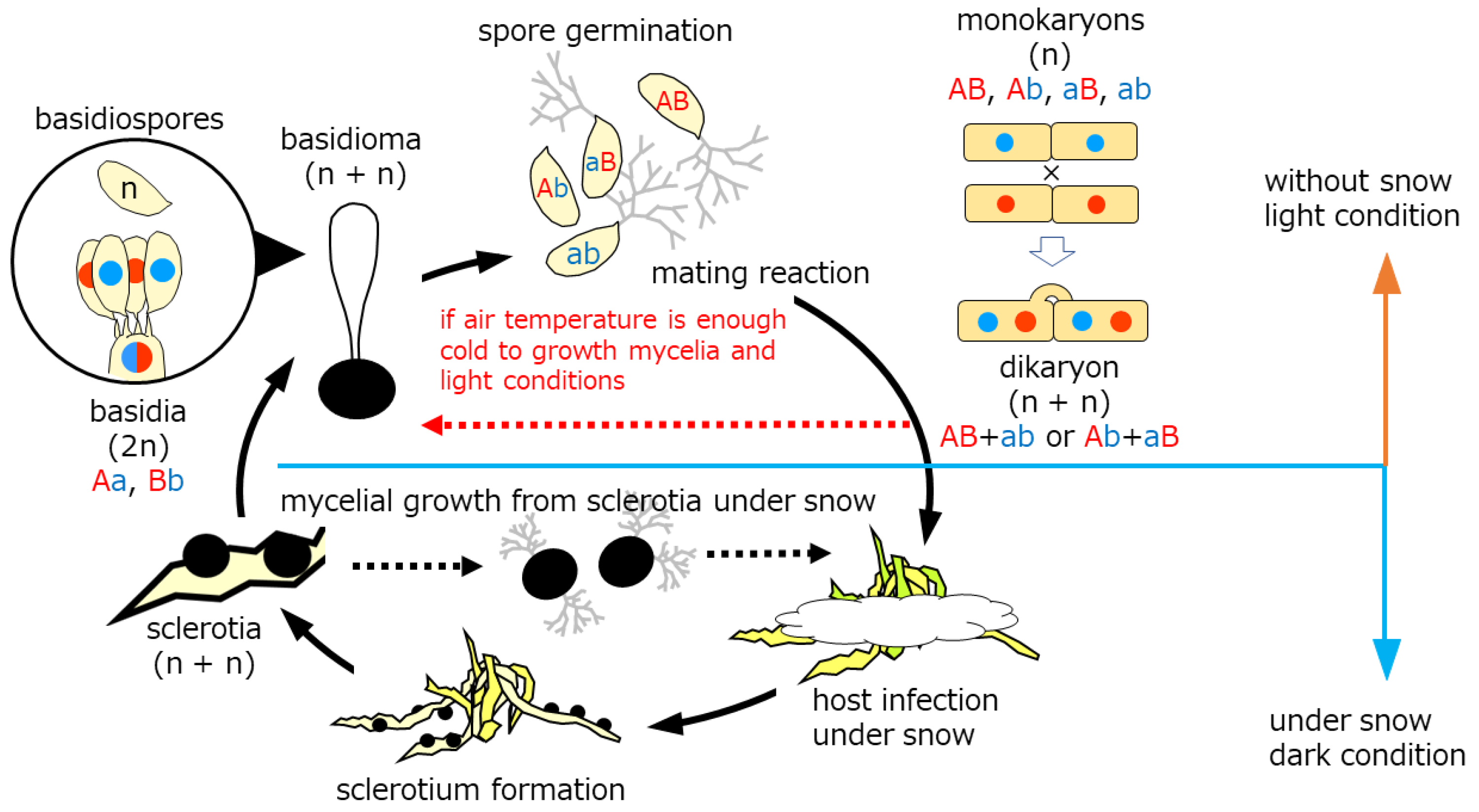 Microorganisms 11 02028 g006 Microorganisms 11 02028 g006