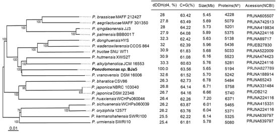 Microorganisms 11 02044 g003