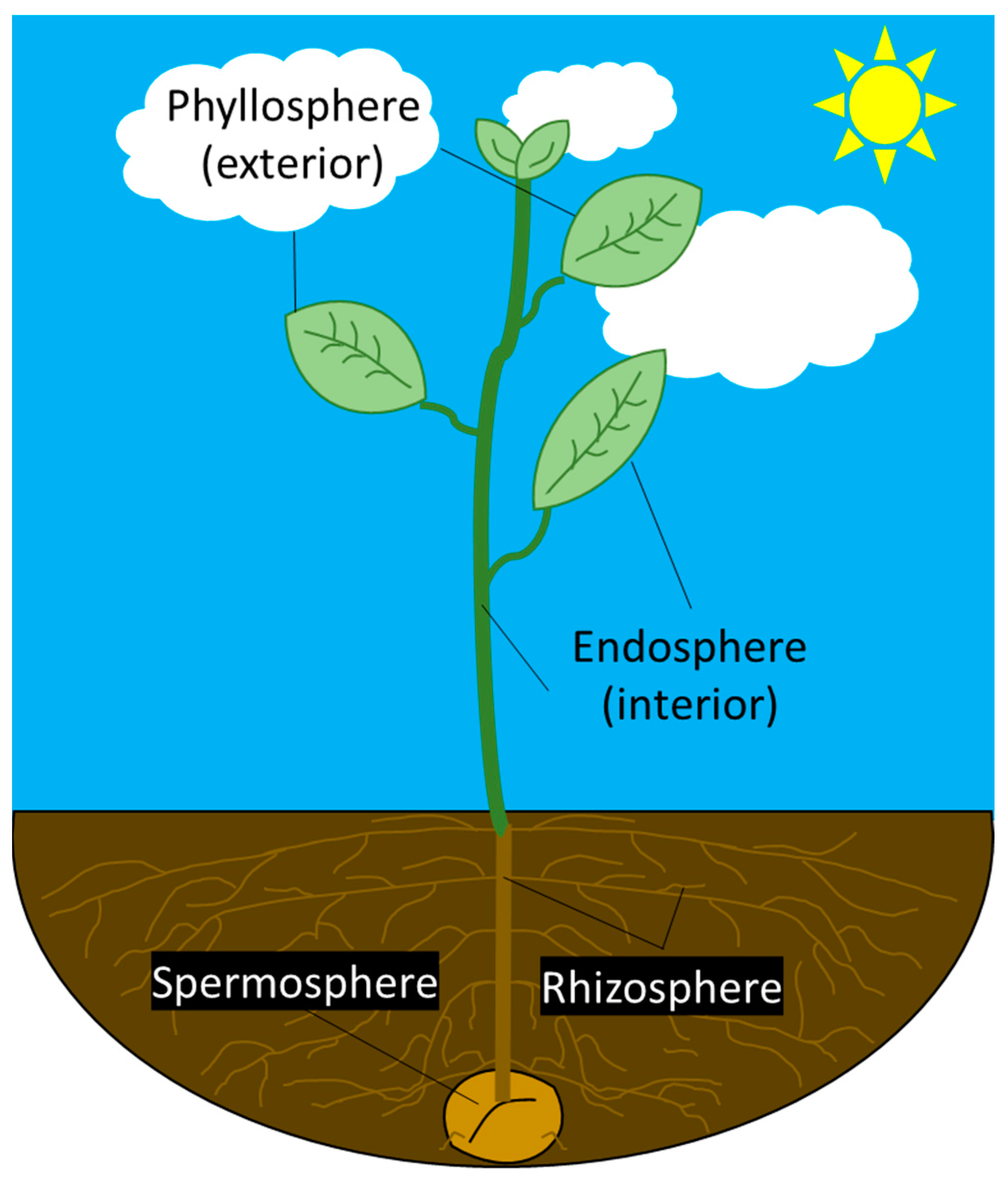 Microorganisms 11 02045 g002 Microorganisms 11 02045 g002