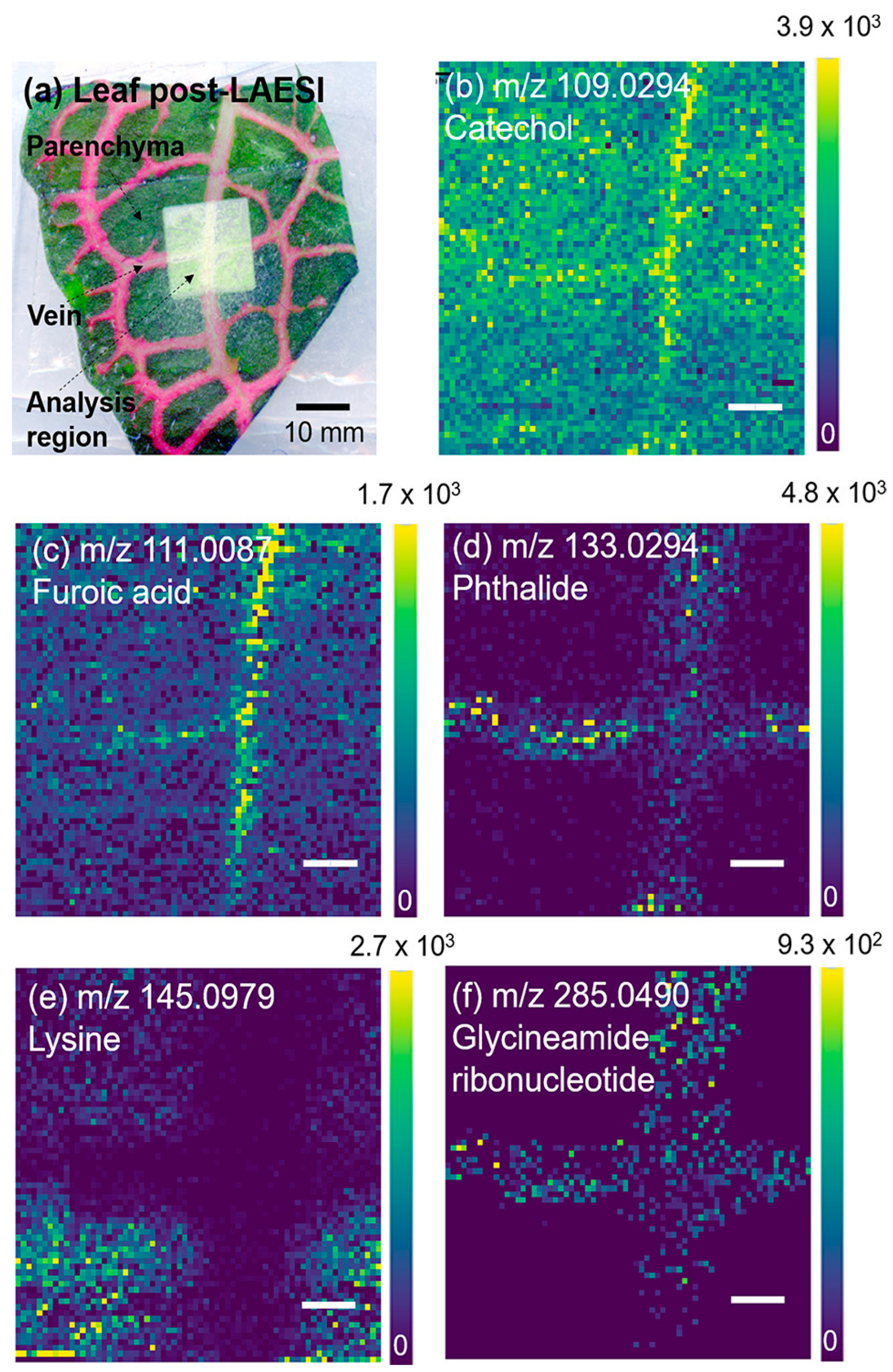 Microorganisms 11 02045 g007 Microorganisms 11 02045 g007