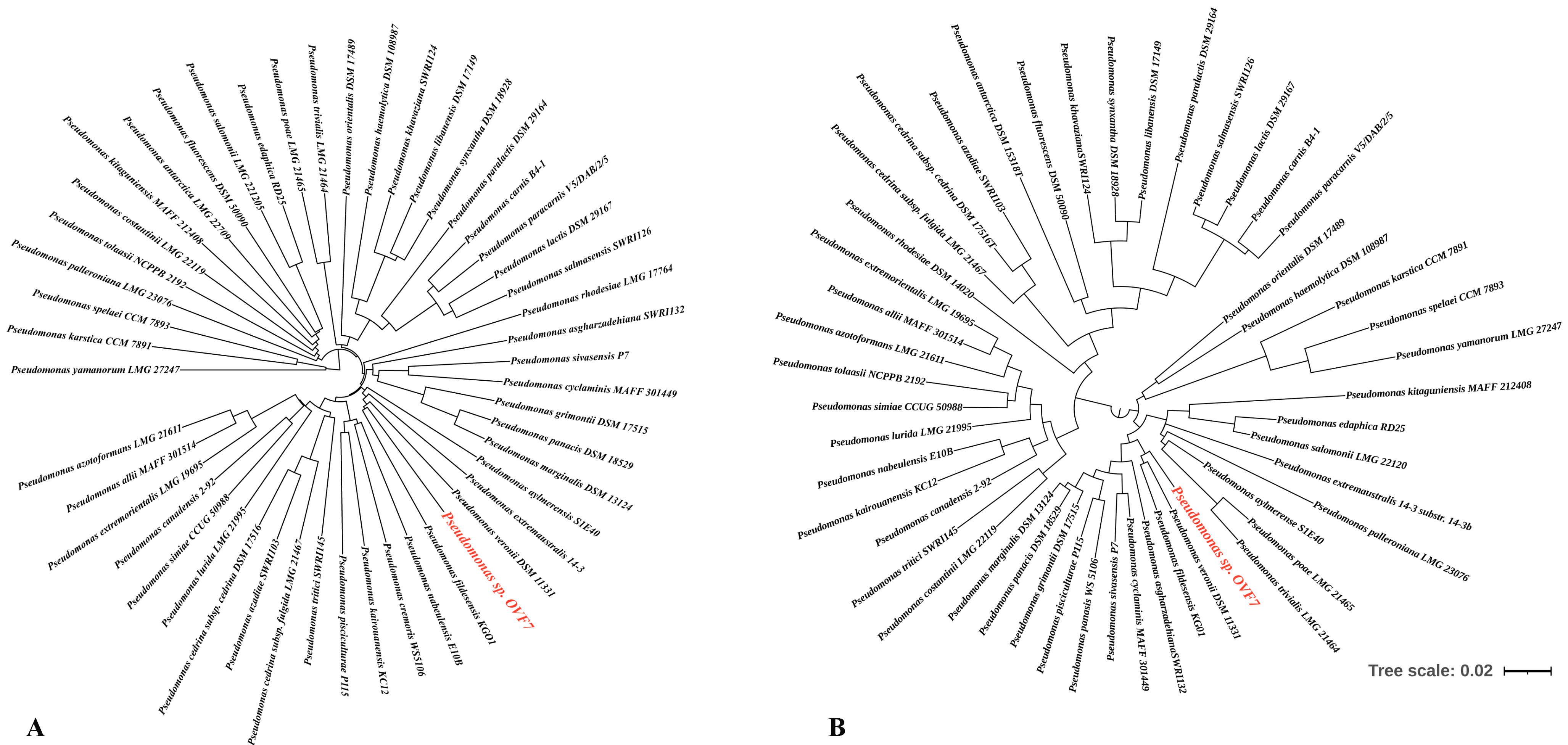 Microorganisms 11 02058 g001 Microorganisms 11 02058 g001