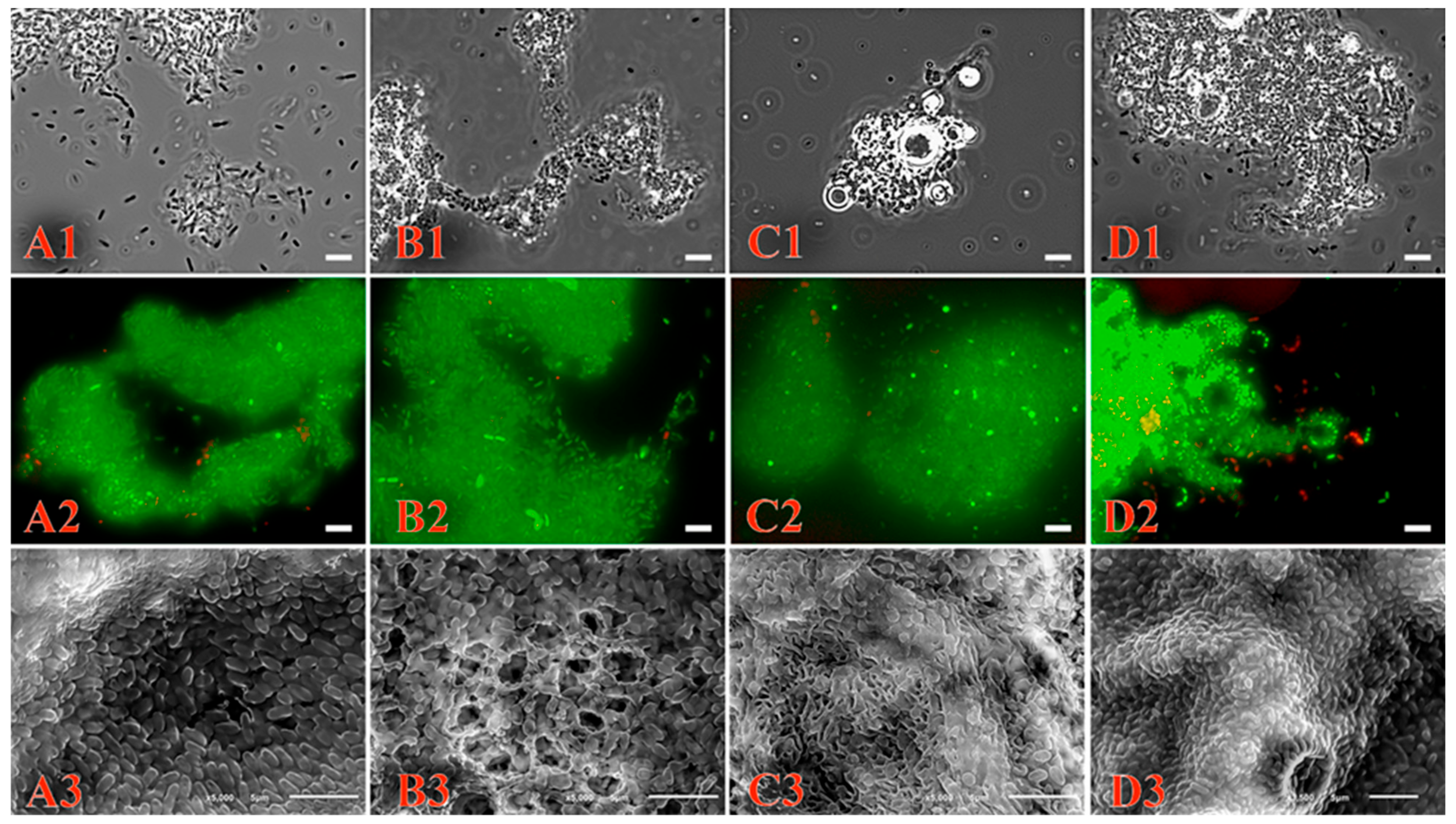 Microorganisms 11 02058 g004 Microorganisms 11 02058 g004