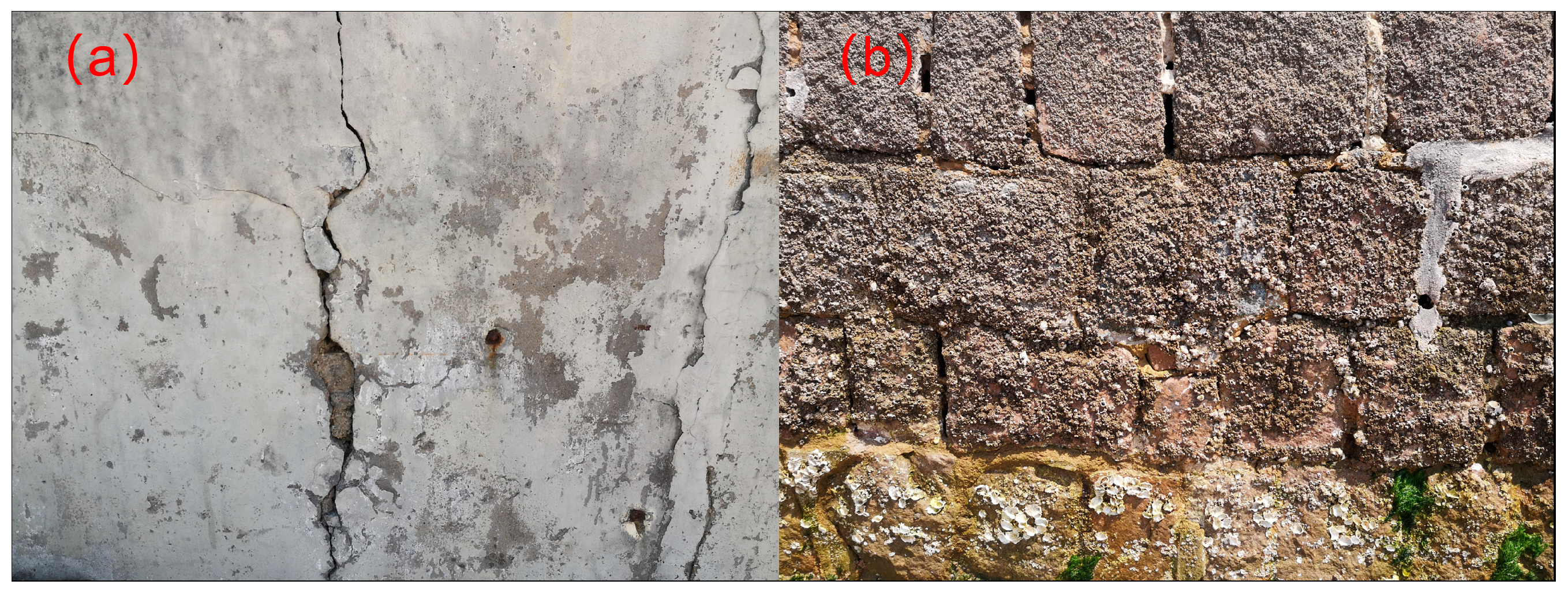 Microorganisms 11 02076 g002 Microorganisms 11 02076 g002