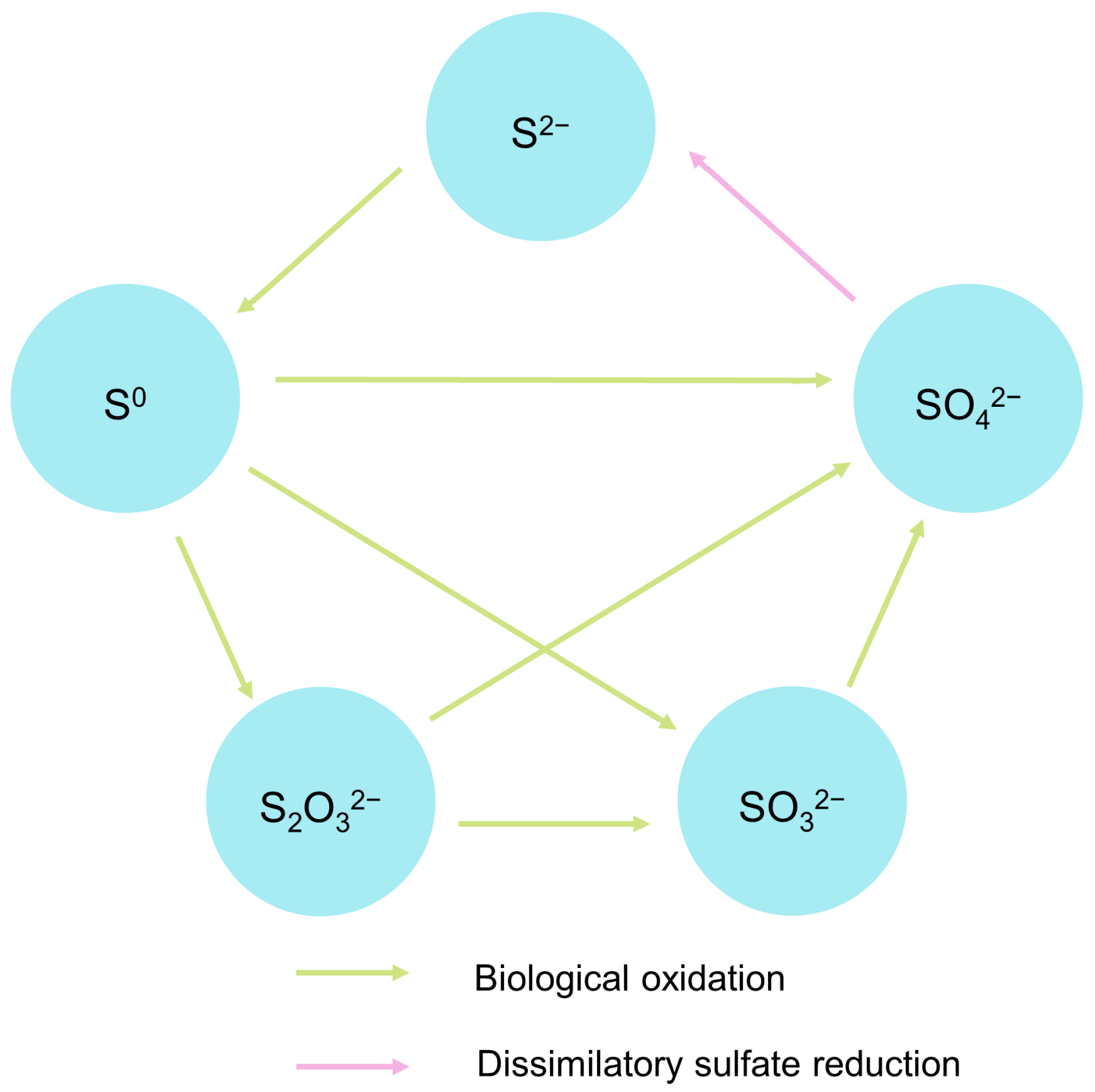 Microorganisms 11 02076 g003 Microorganisms 11 02076 g003