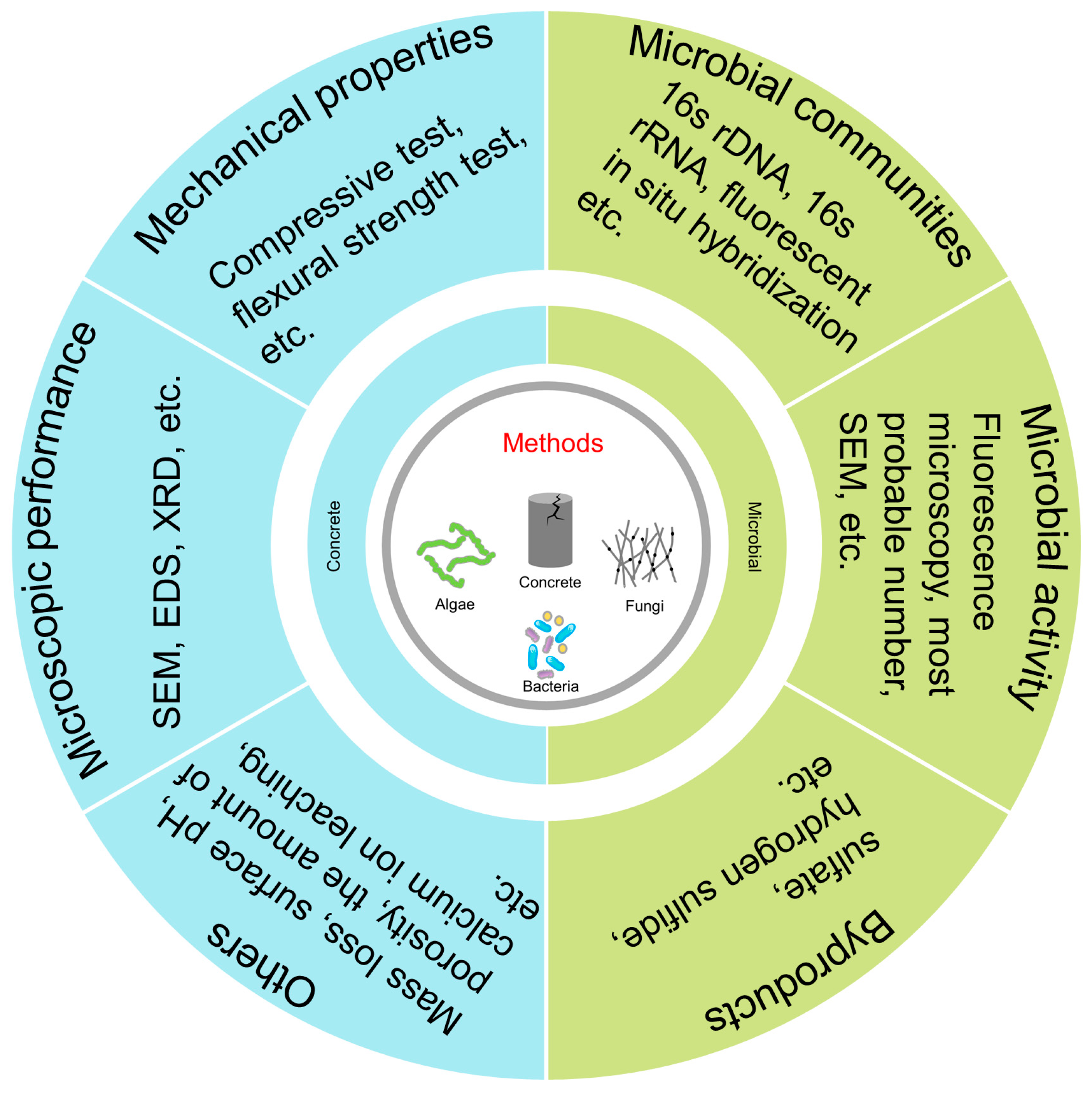 Microorganisms 11 02076 g007 Microorganisms 11 02076 g007