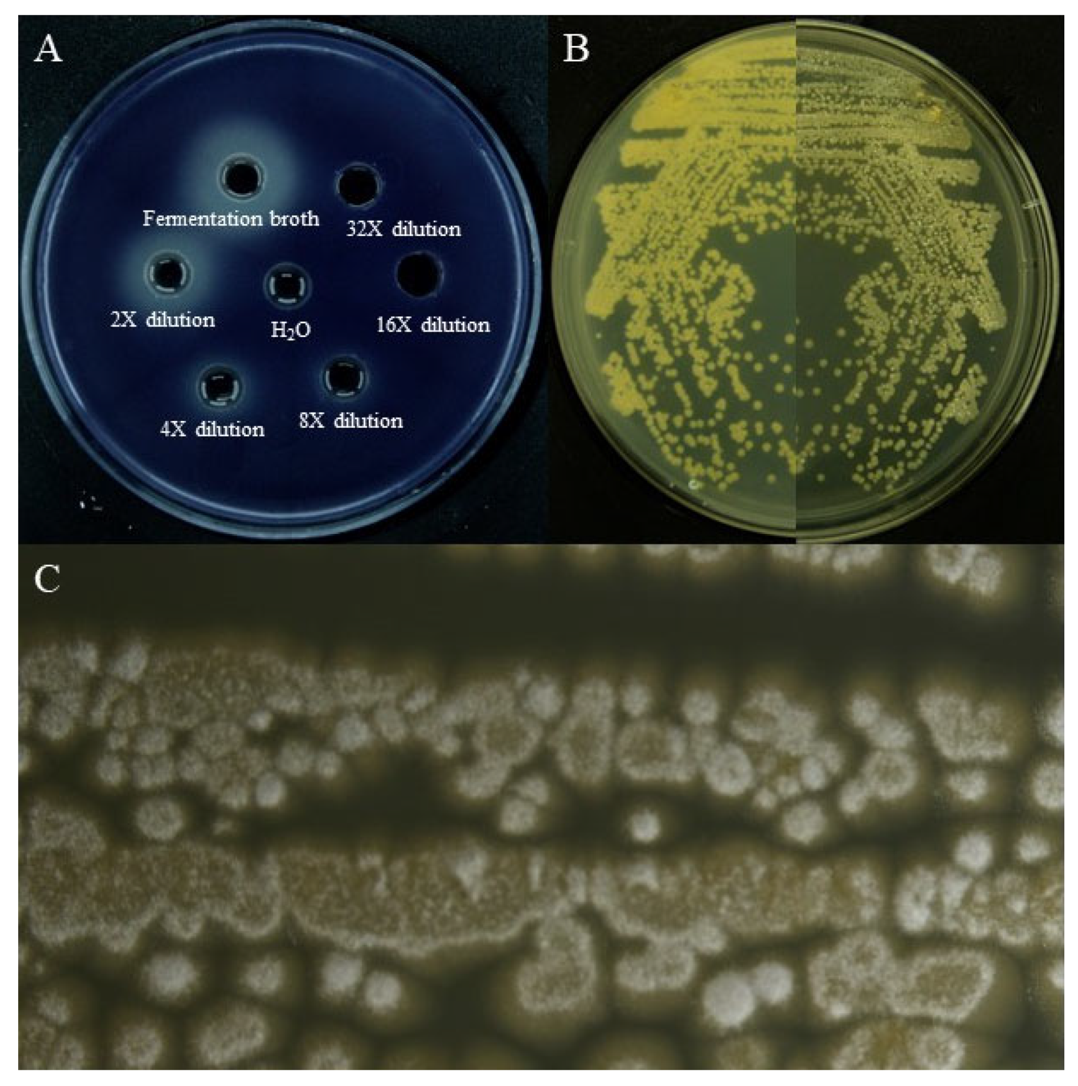 Microorganisms 11 02079 g001 Microorganisms 11 02079 g001