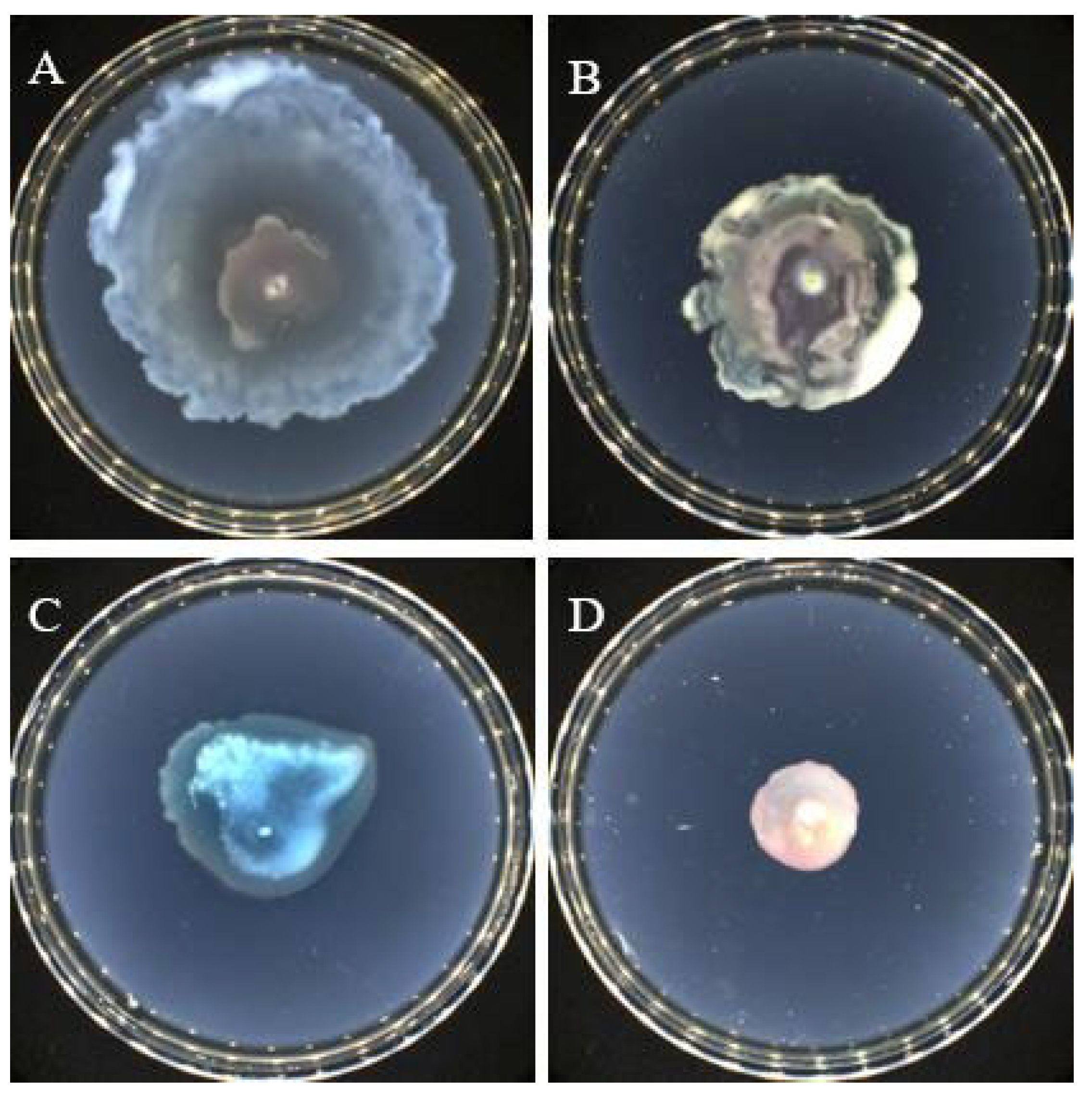 Microorganisms 11 02079 g005 Microorganisms 11 02079 g005