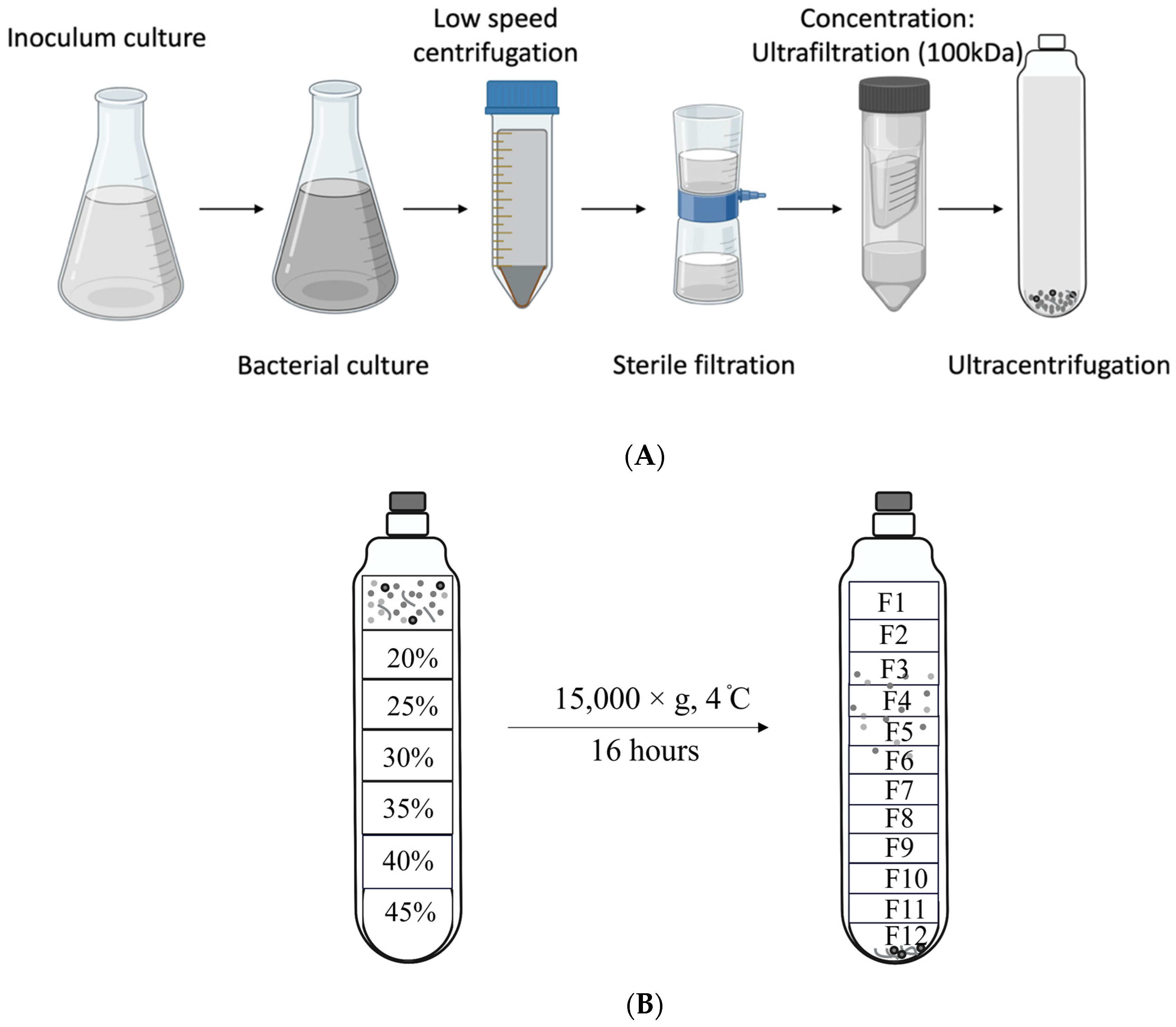 Microorganisms 11 02082 g001