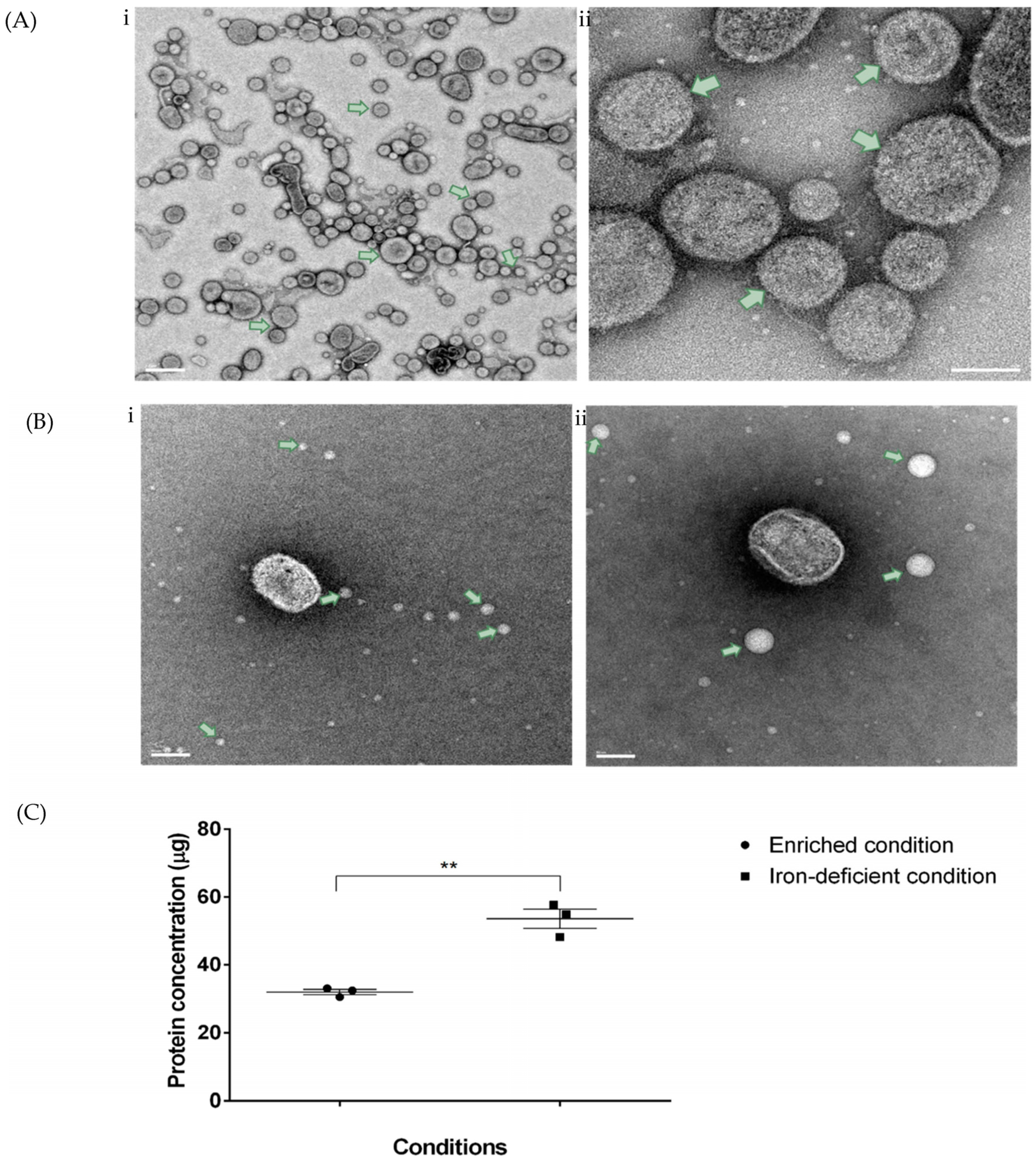Microorganisms 11 02082 g002