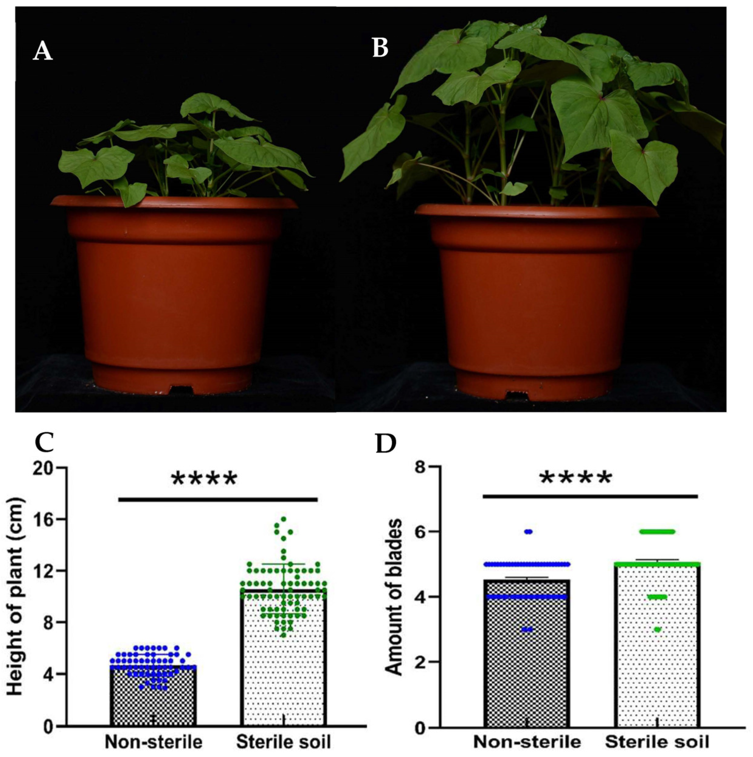 Microorganisms 11 02085 g001
