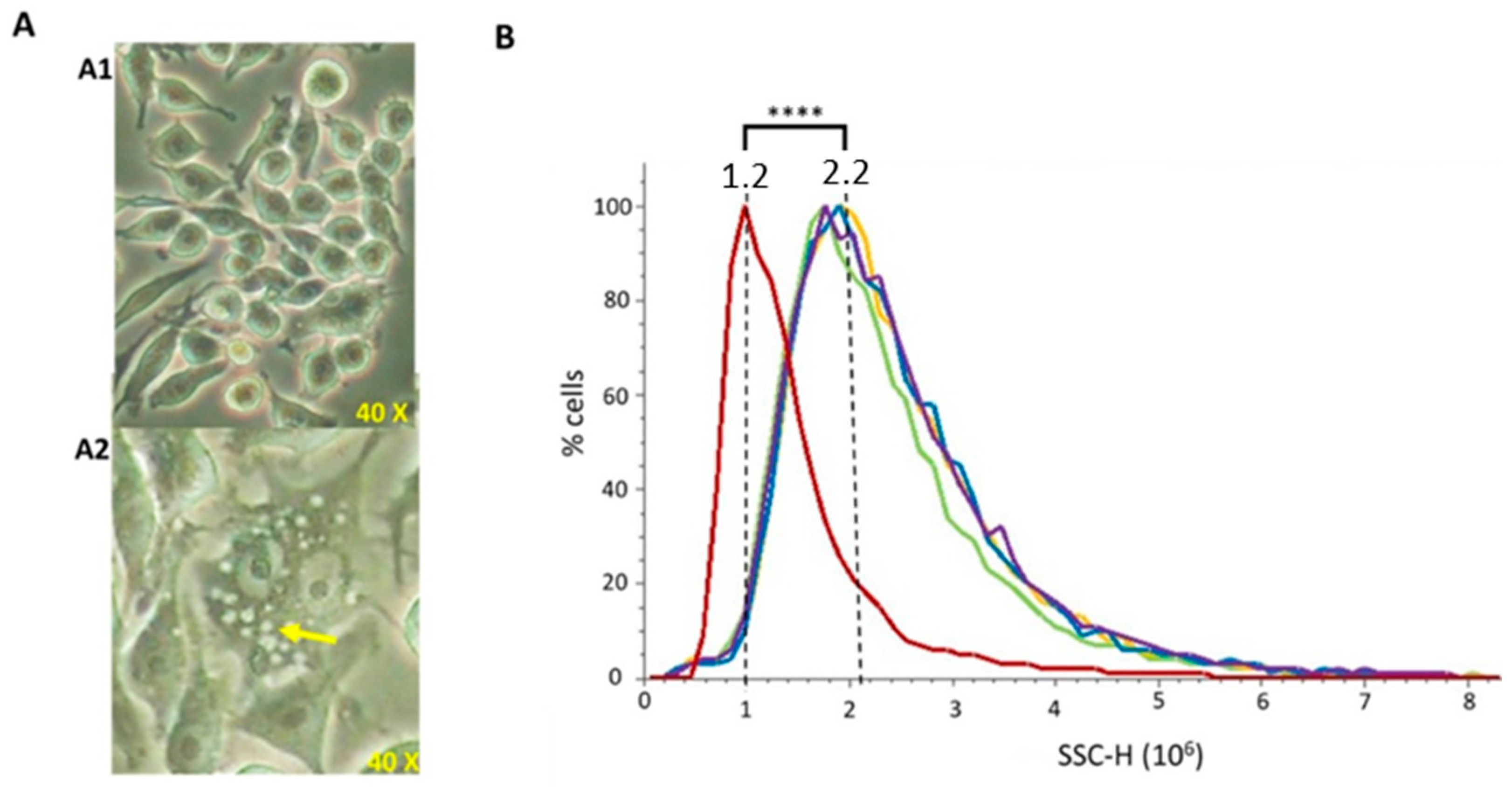Microorganisms 11 02088 g005