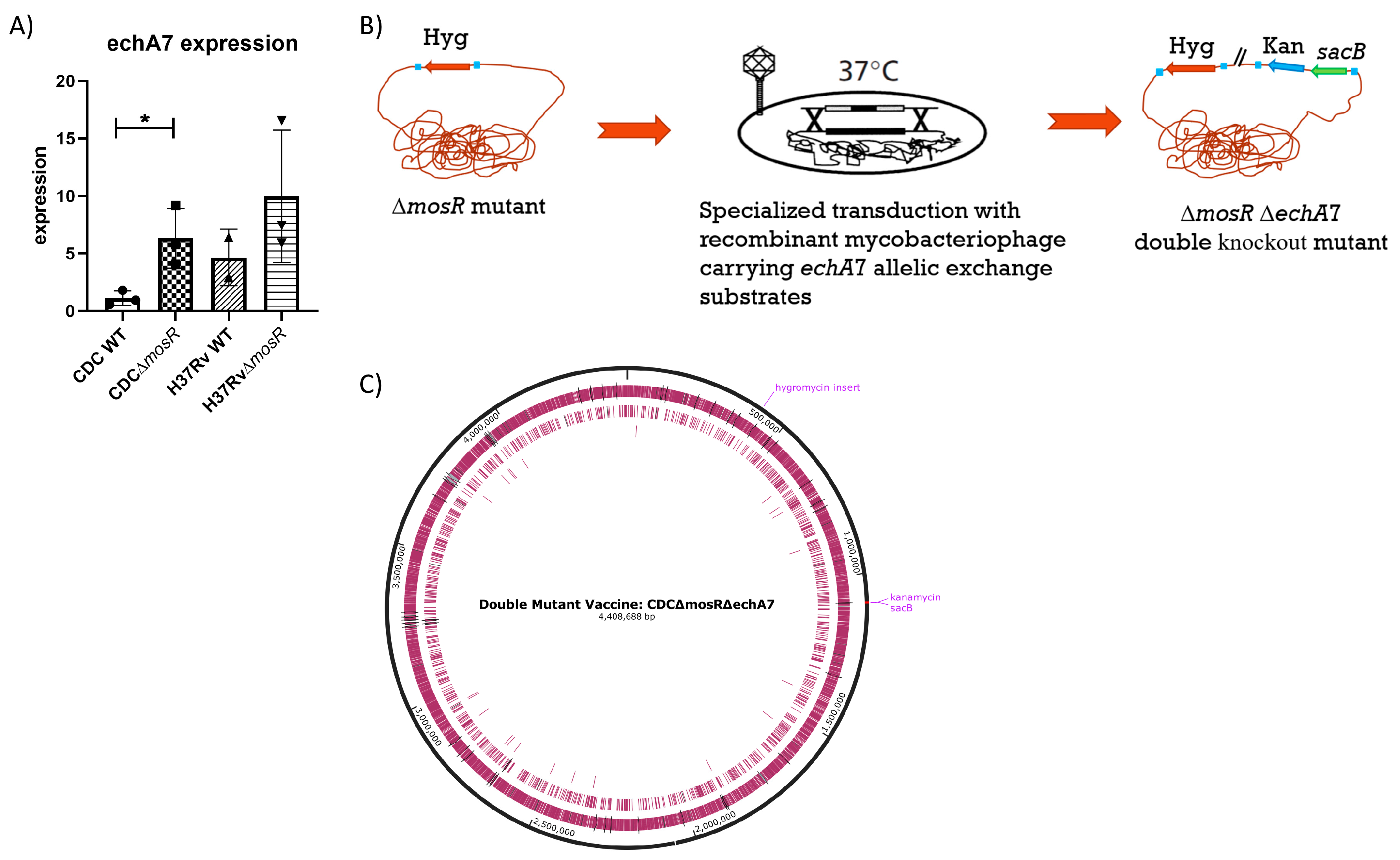 Microorganisms 11 02105 g001