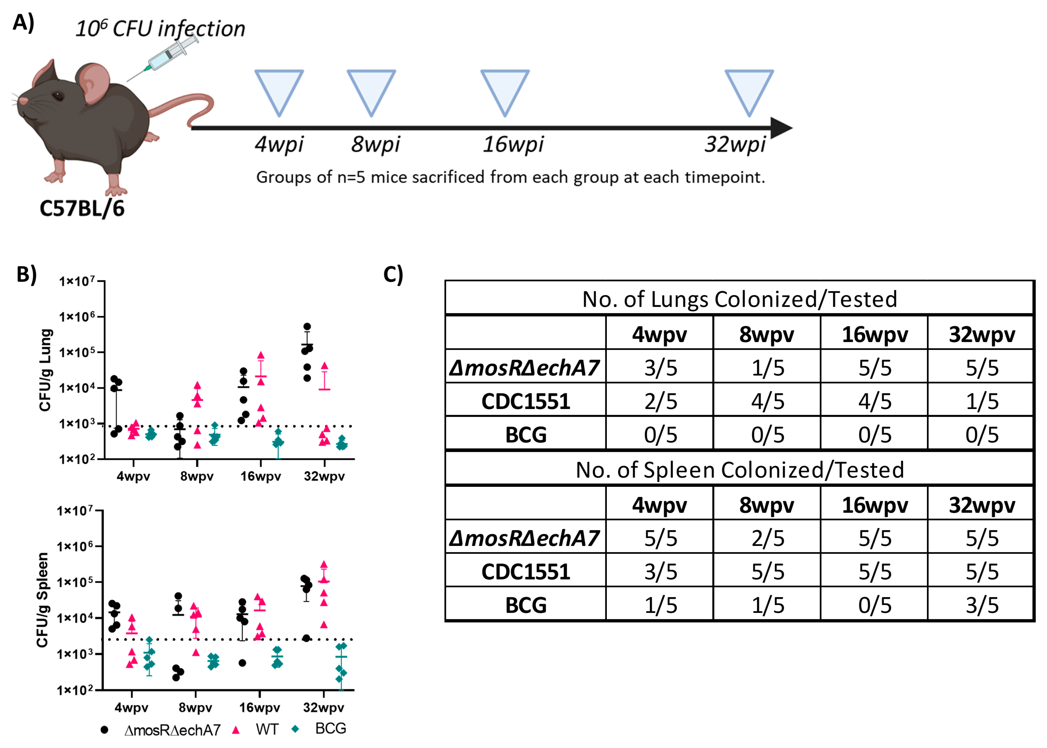 Microorganisms 11 02105 g002