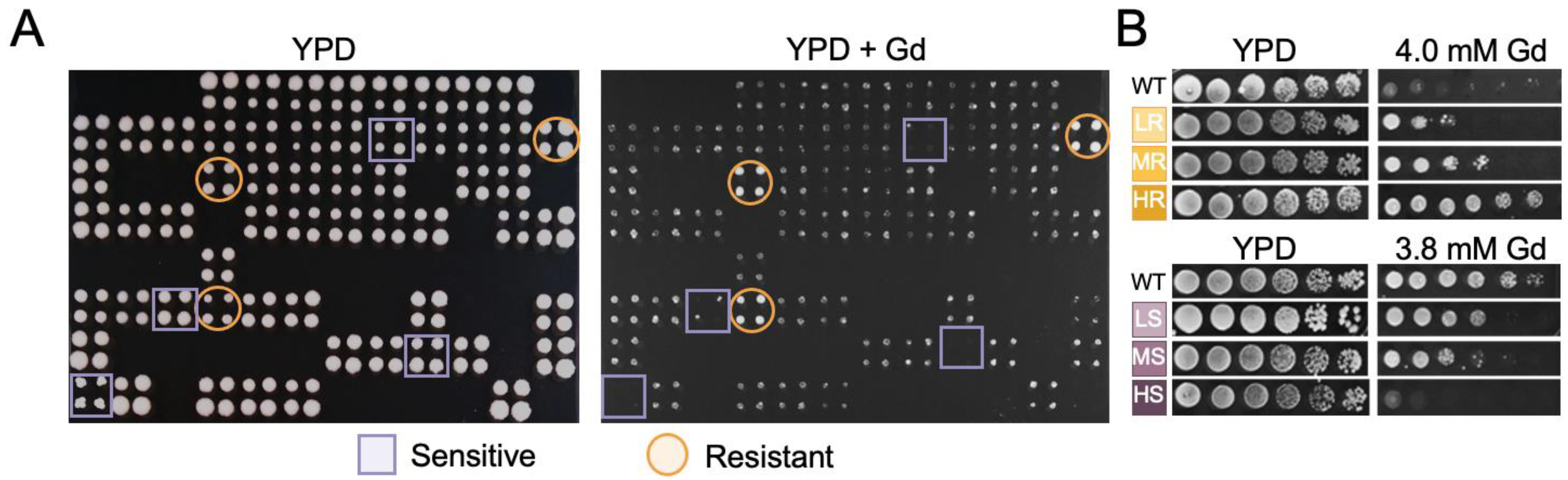 Microorganisms 11 02113 g001 Microorganisms 11 02113 g001