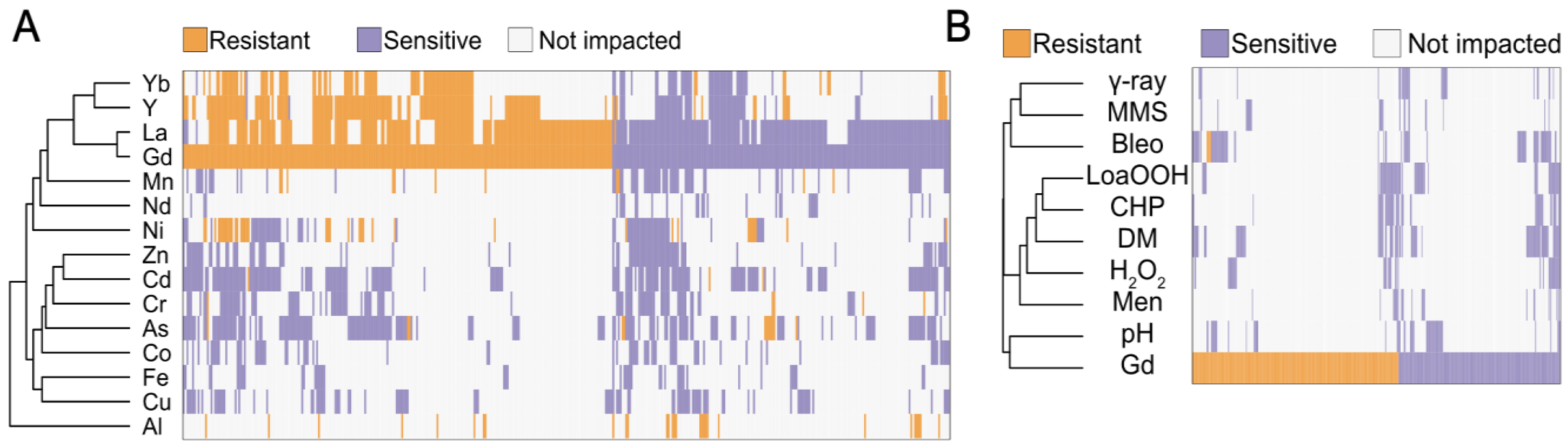 Microorganisms 11 02113 g004 Microorganisms 11 02113 g004