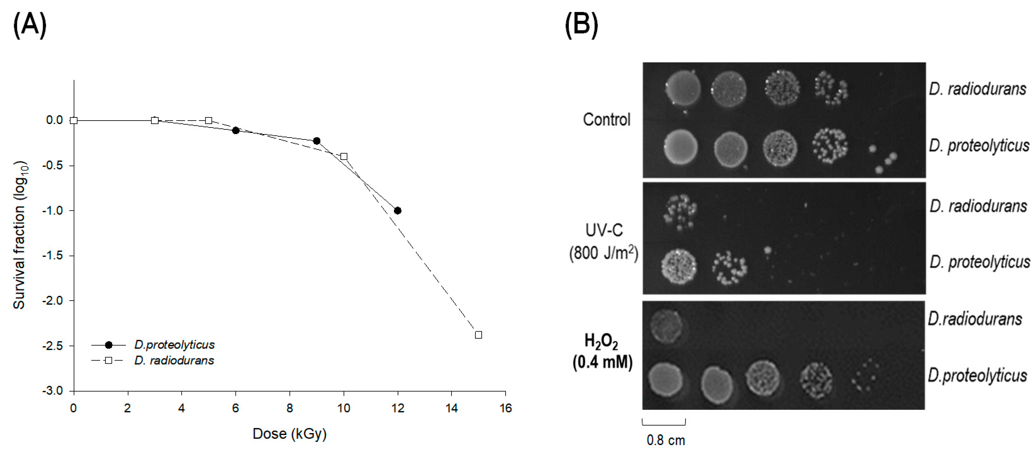 Microorganisms 11 02135 g001 Microorganisms 11 02135 g001