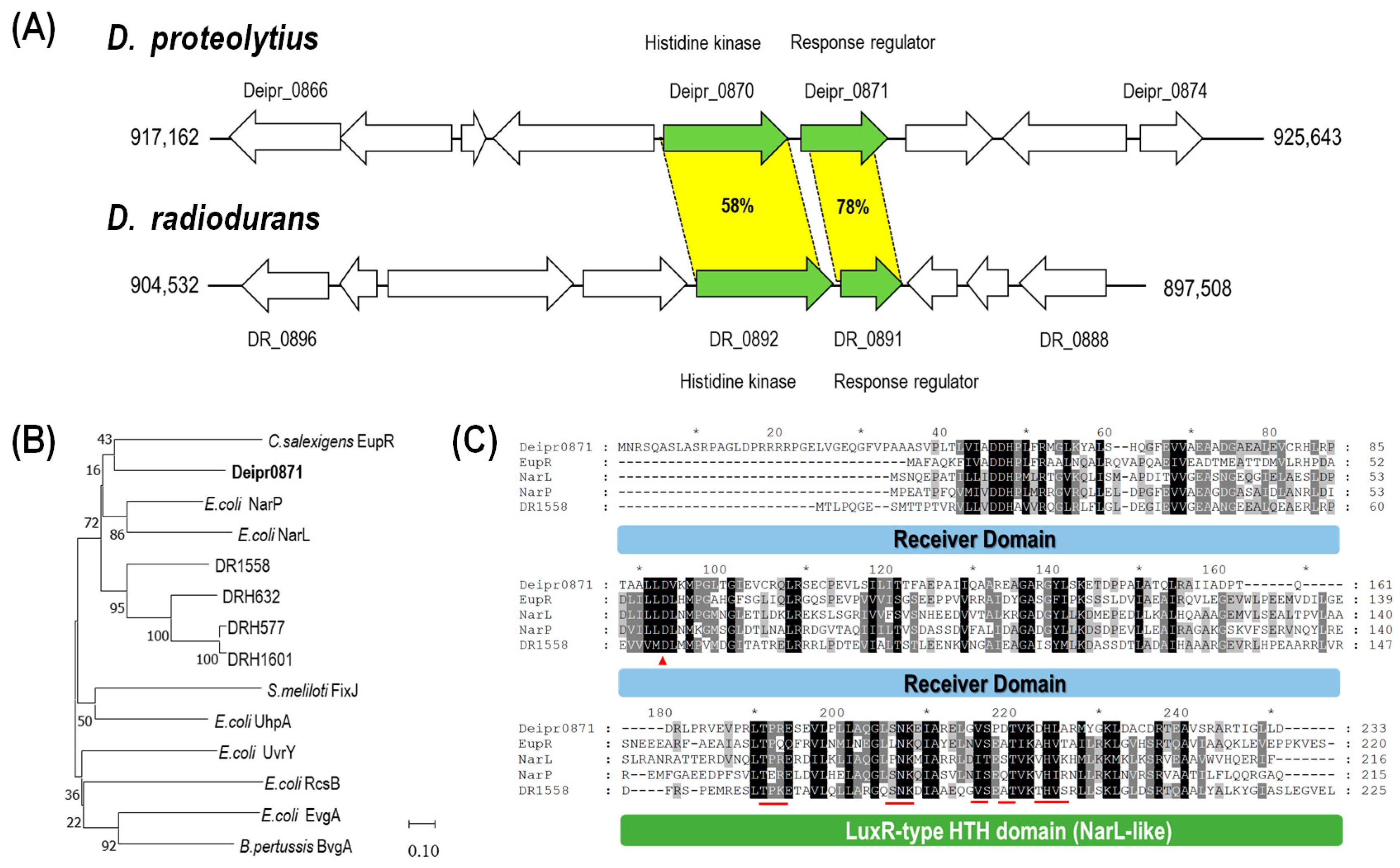 Microorganisms 11 02135 g003 Microorganisms 11 02135 g003
