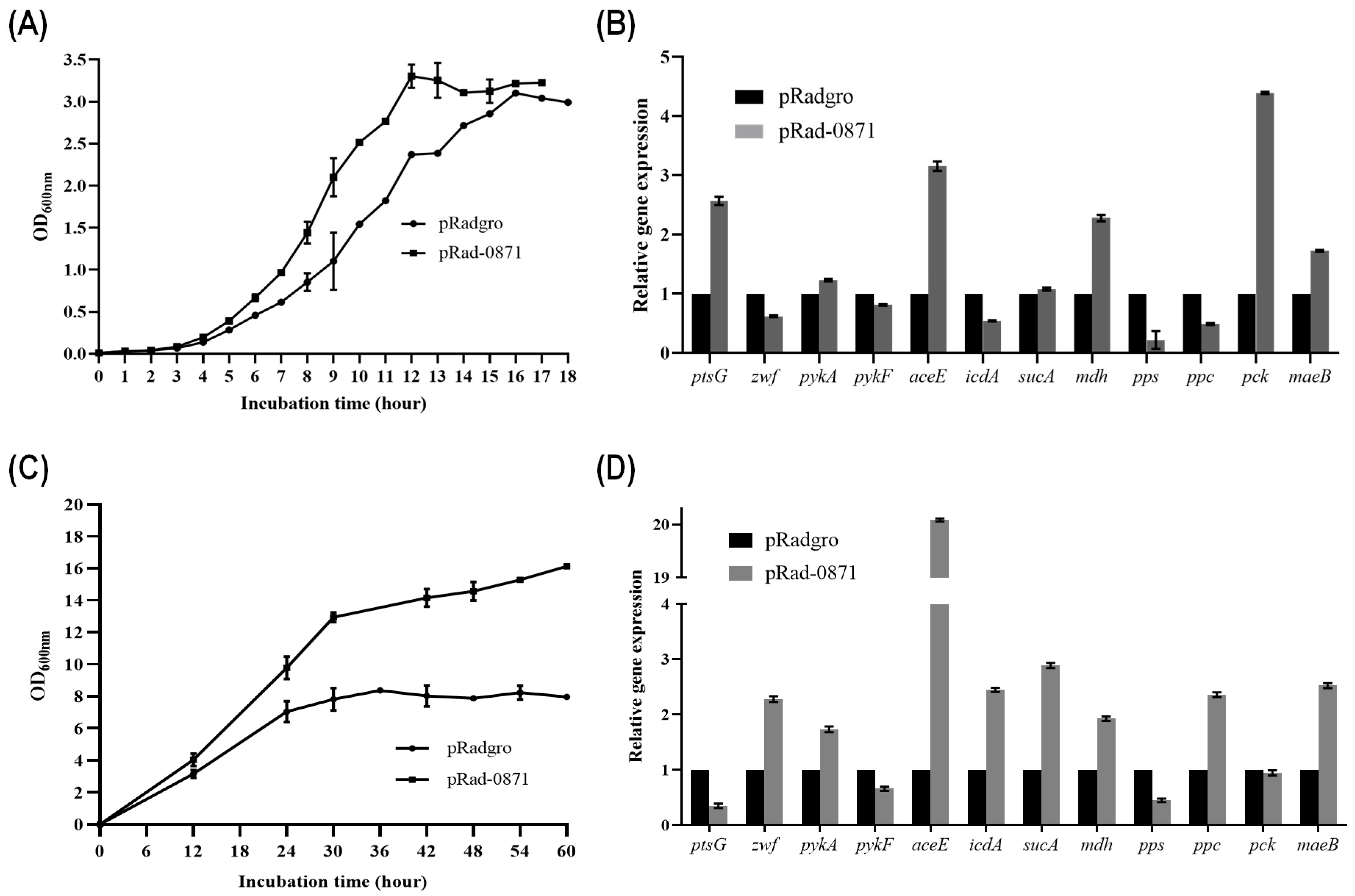 Microorganisms 11 02135 g005 Microorganisms 11 02135 g005
