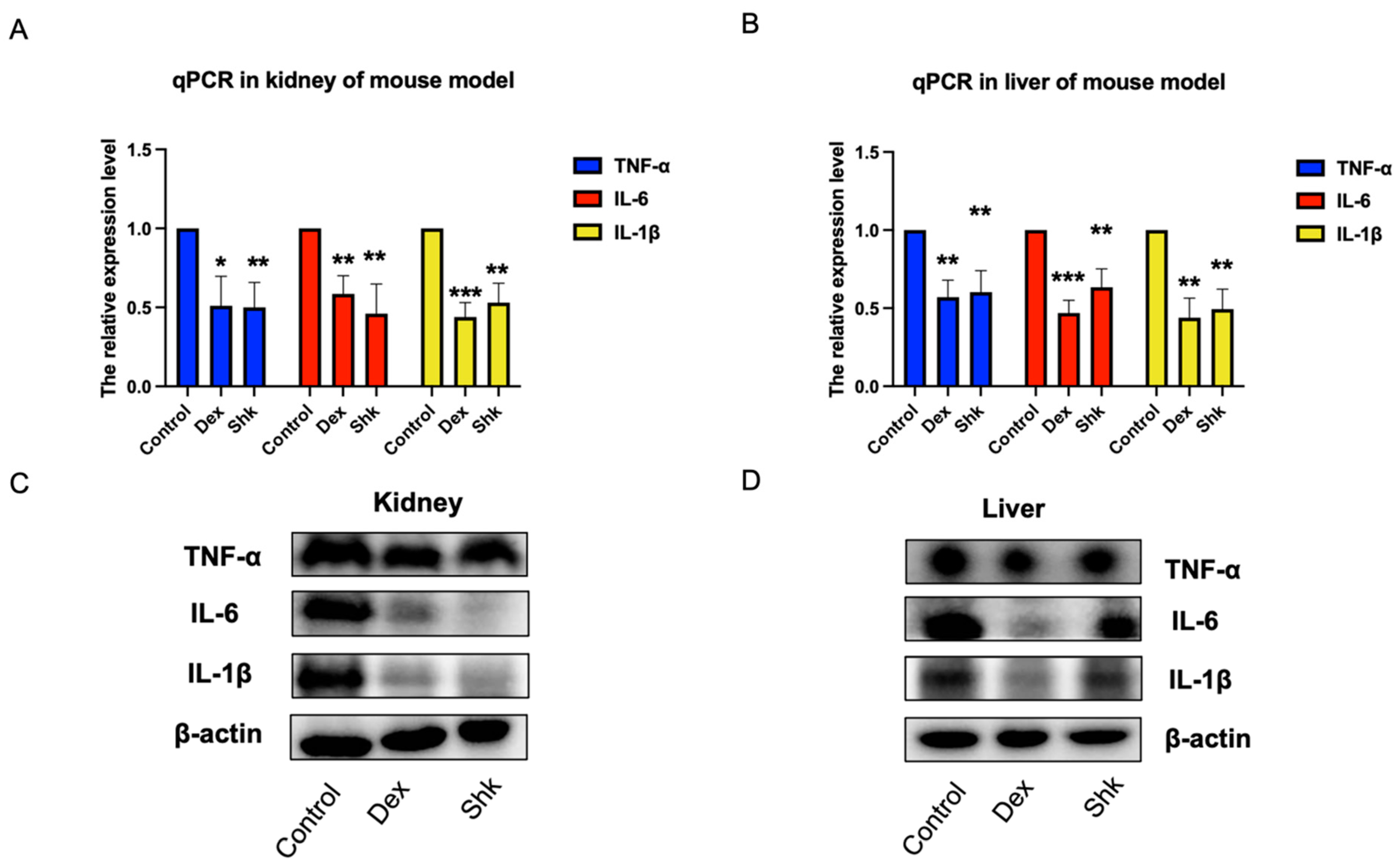 Microorganisms 11 02139 g005