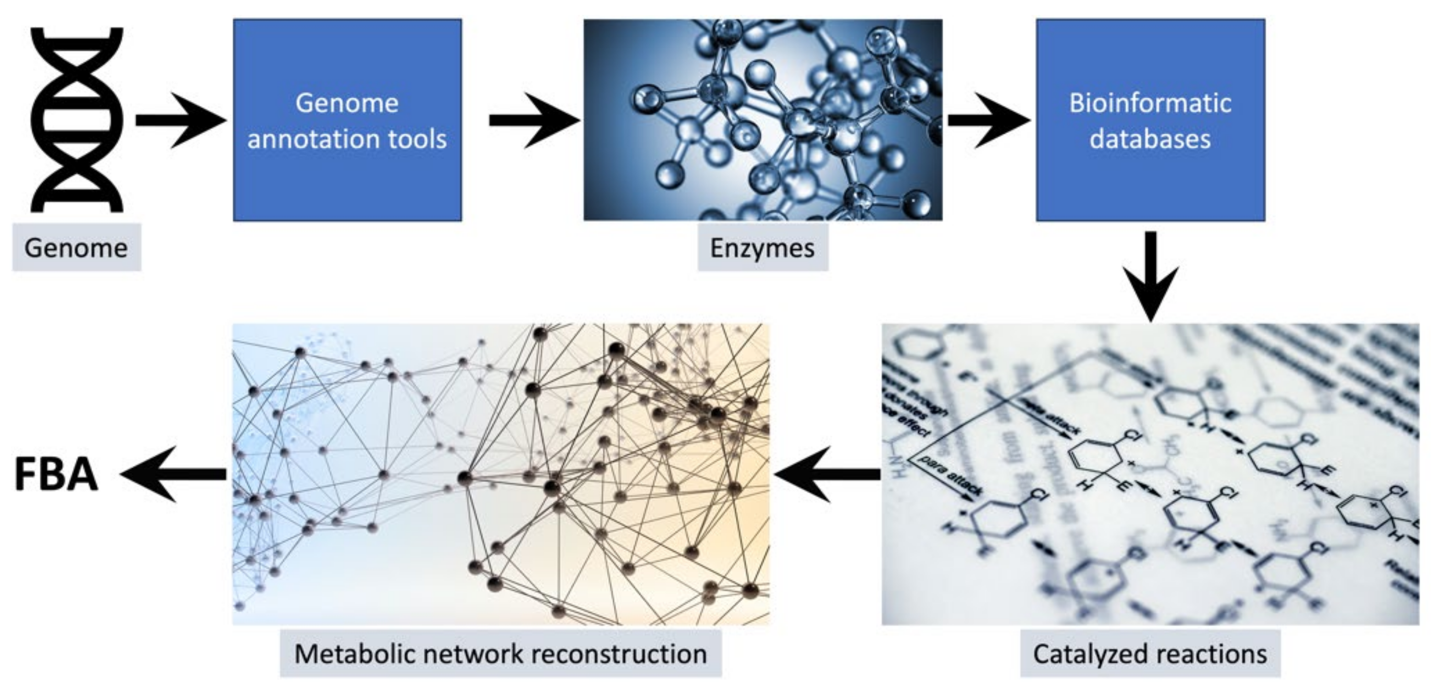 Microorganisms 11 02149 g001