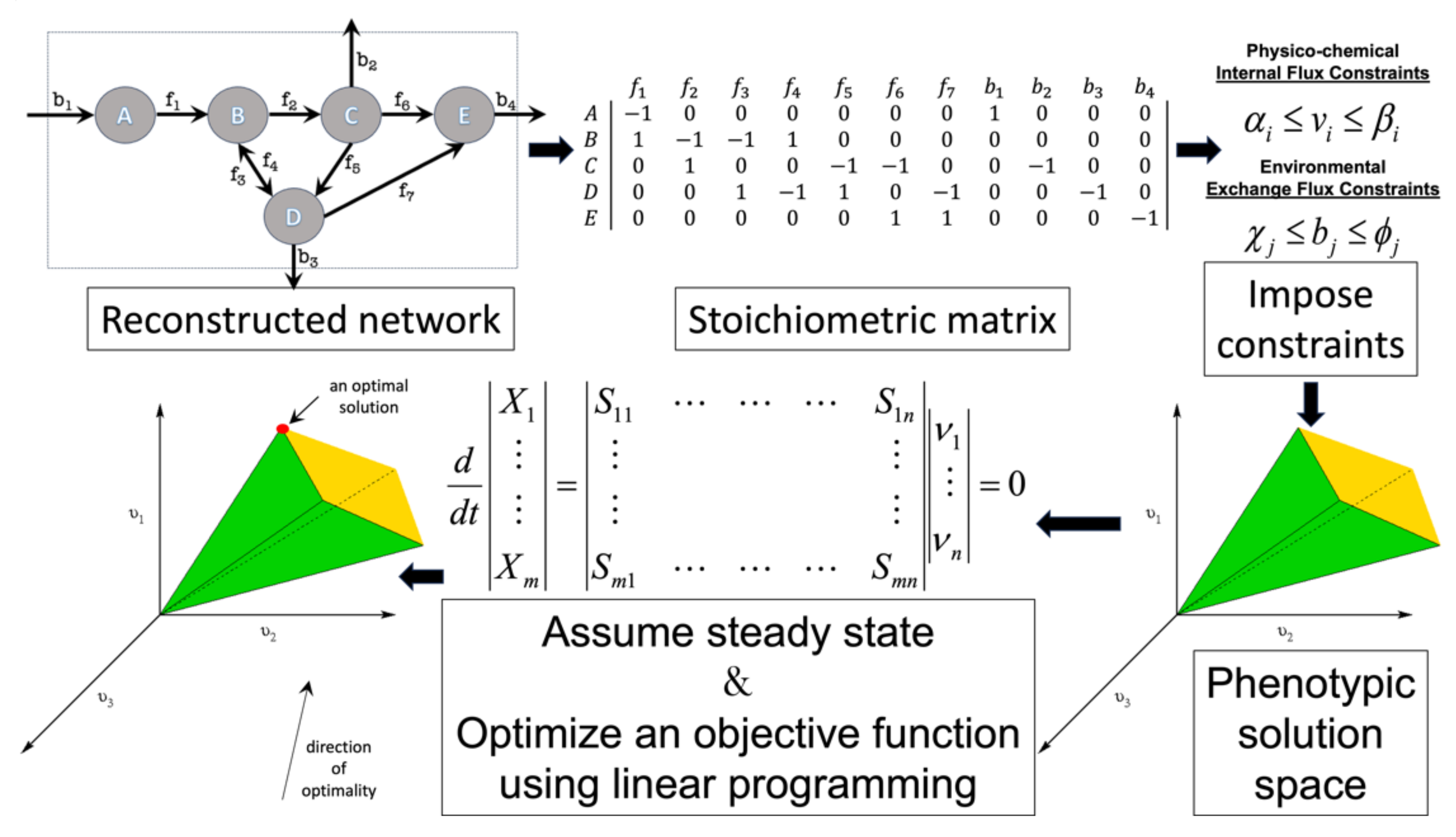 Microorganisms 11 02149 g002