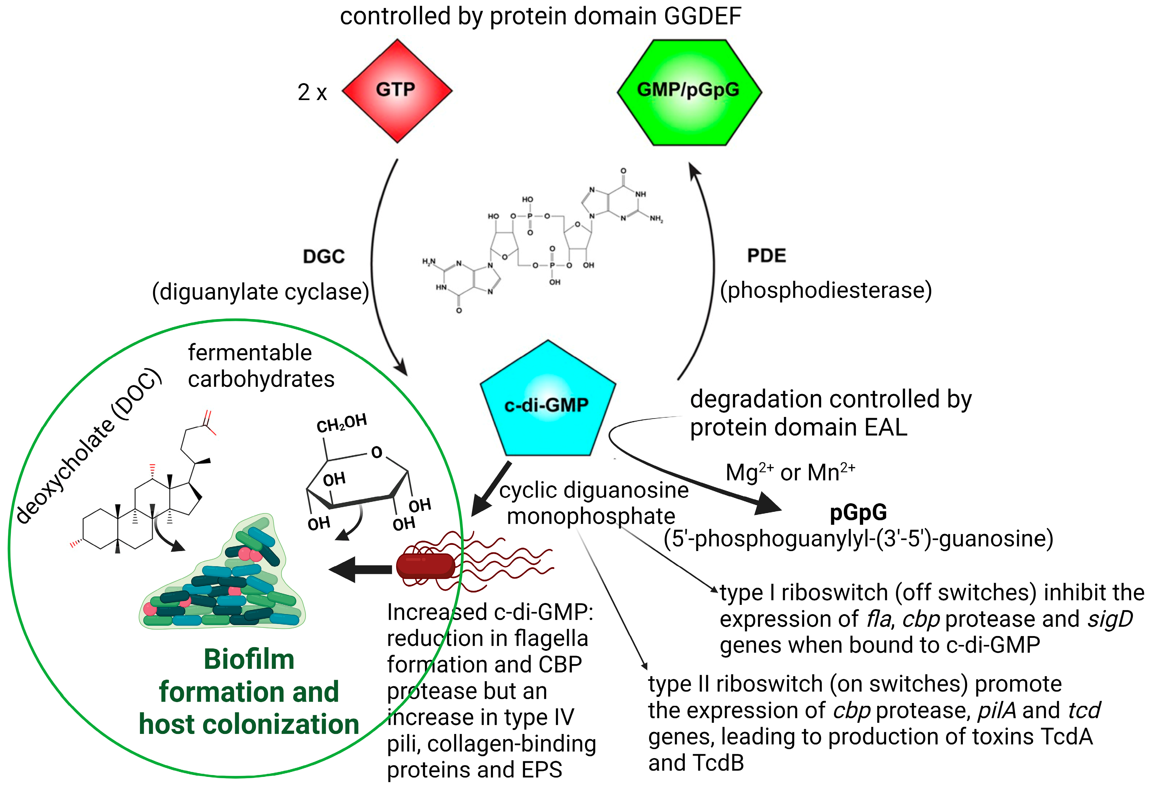 Microorganisms 11 02161 g001 Microorganisms 11 02161 g001