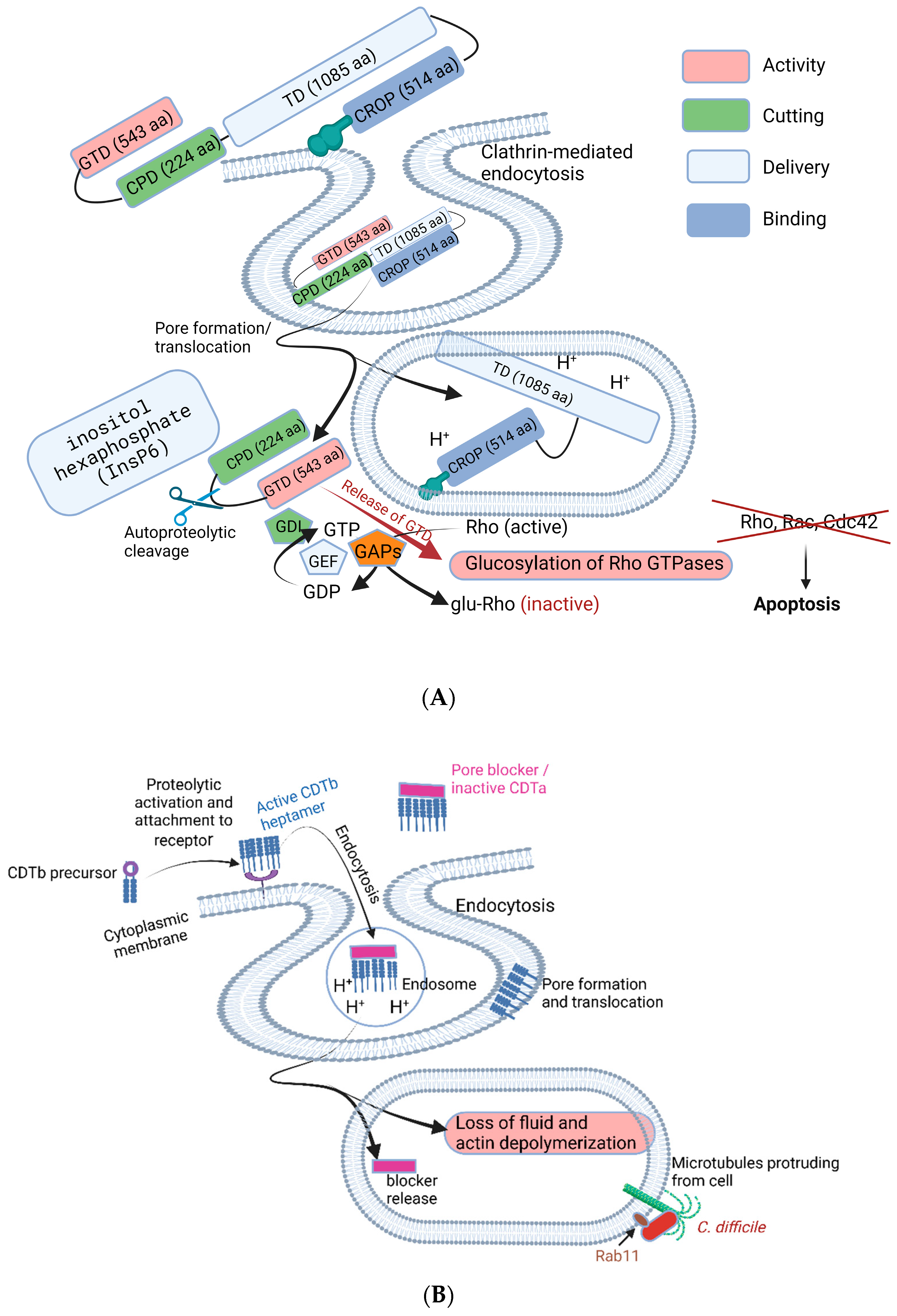 Microorganisms 11 02161 g004 Microorganisms 11 02161 g004