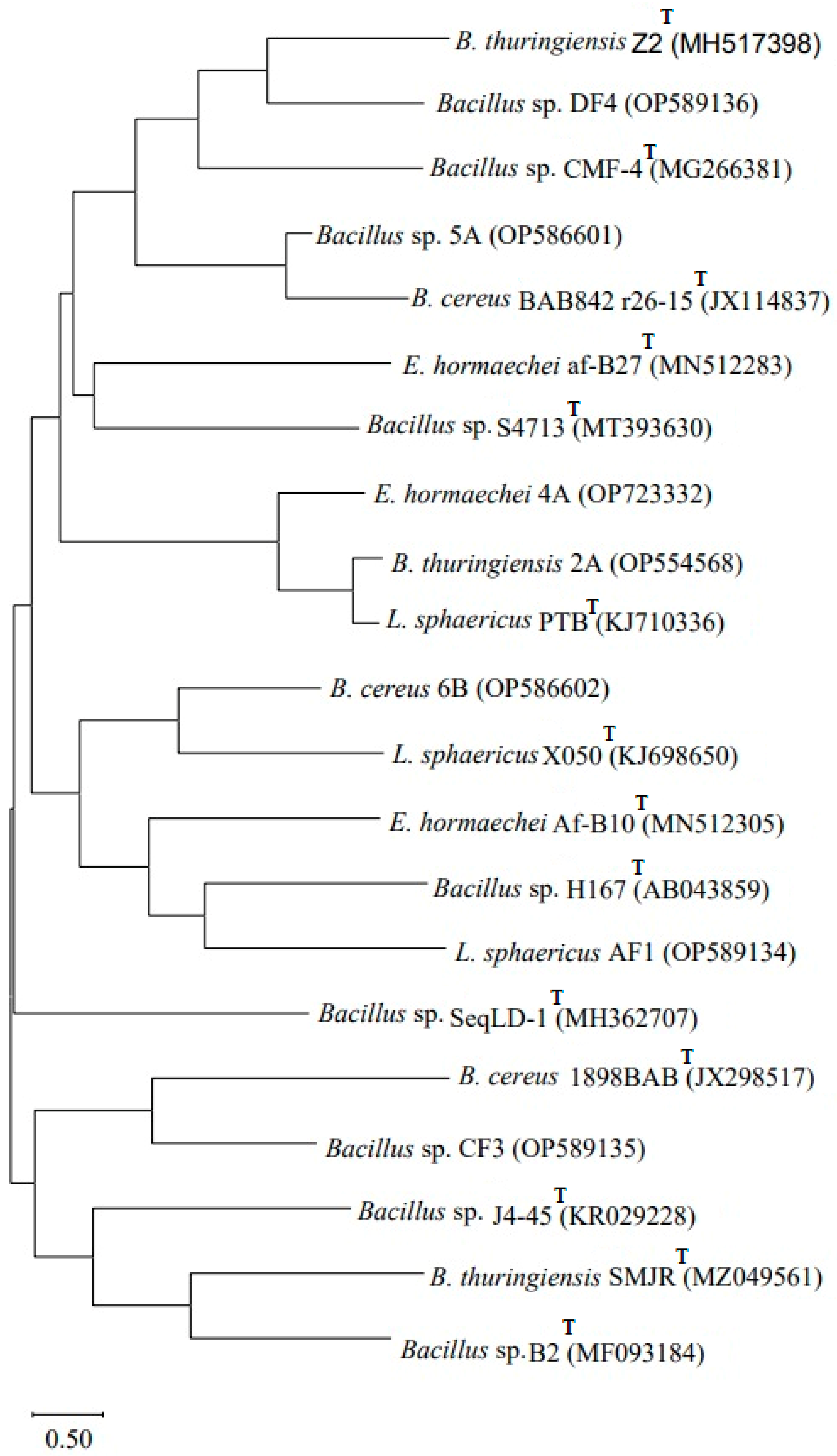 Microorganisms 11 02163 g001